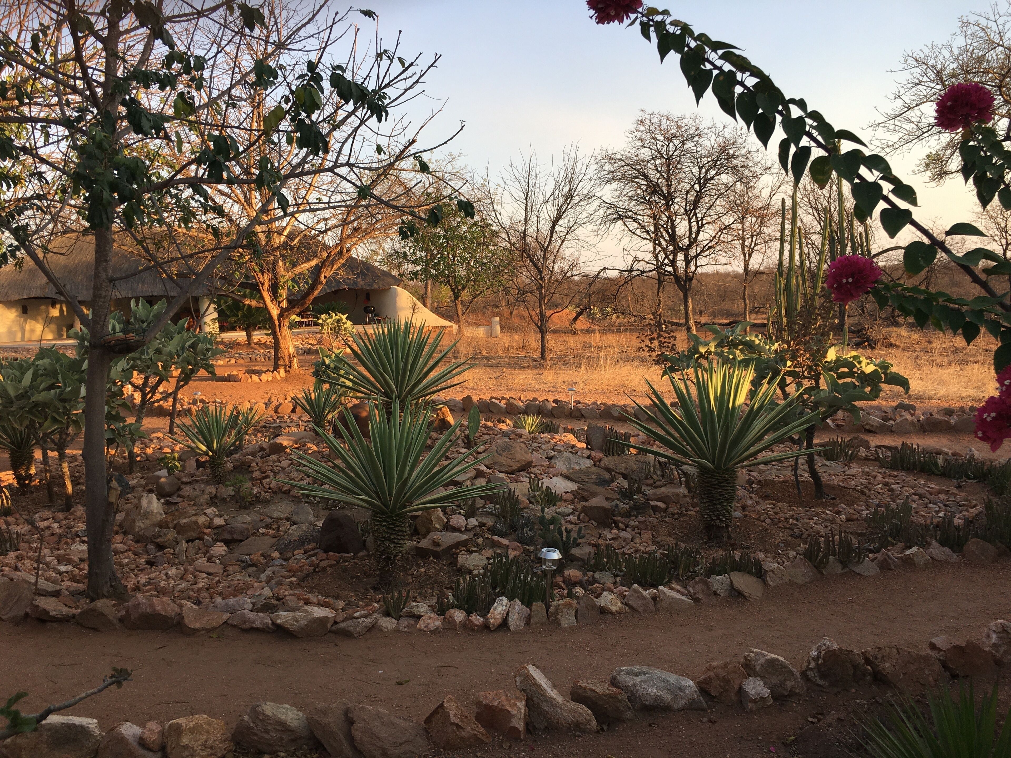Thula Private Lodge