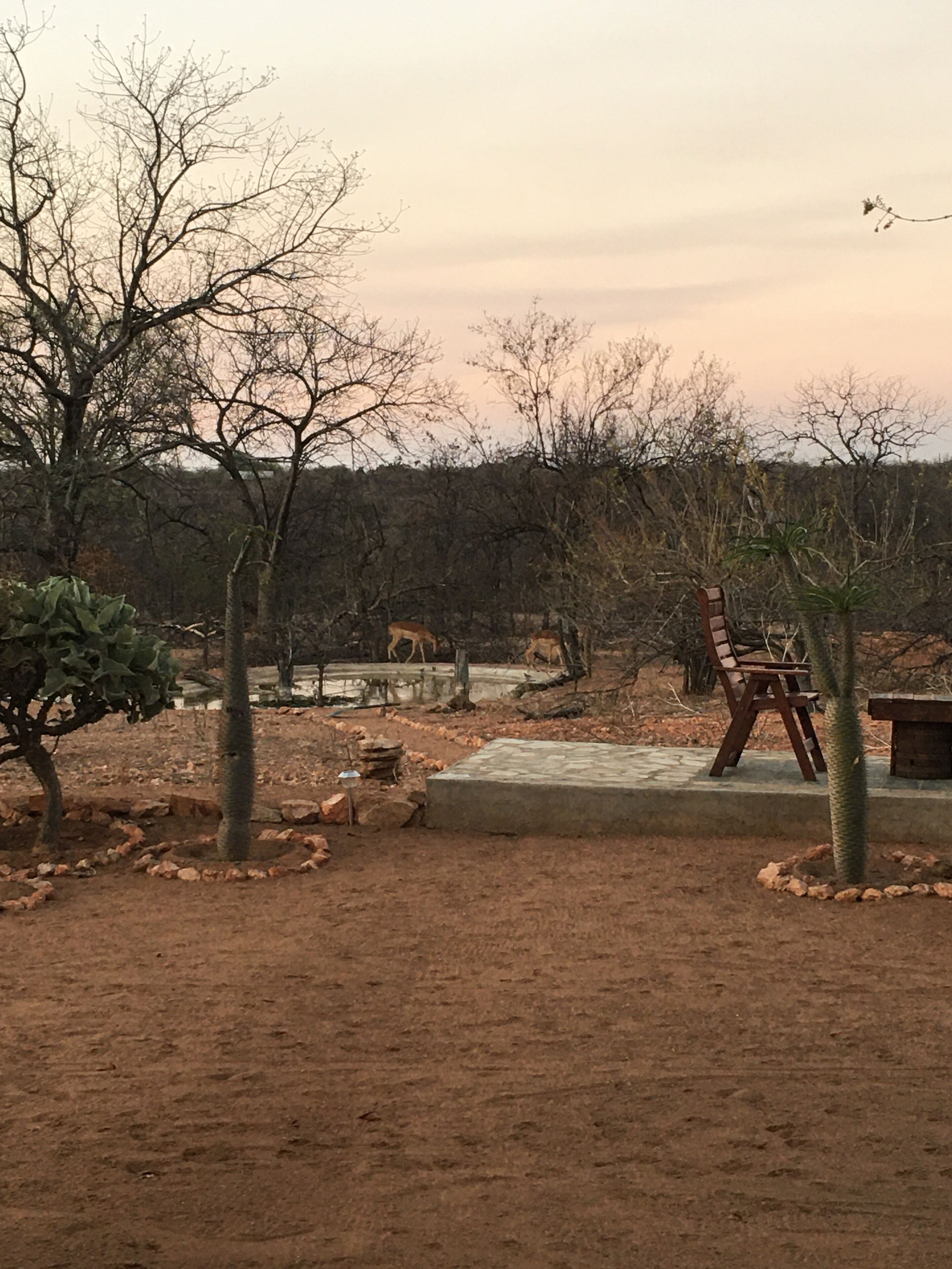 Thula Private Lodge