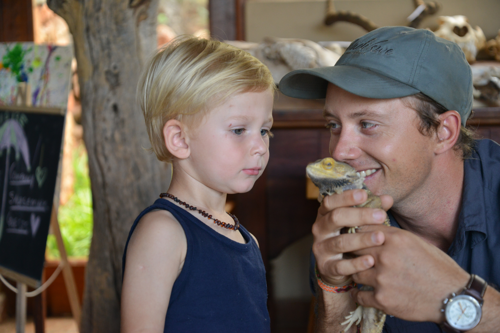 Madikwe Safari Lodge