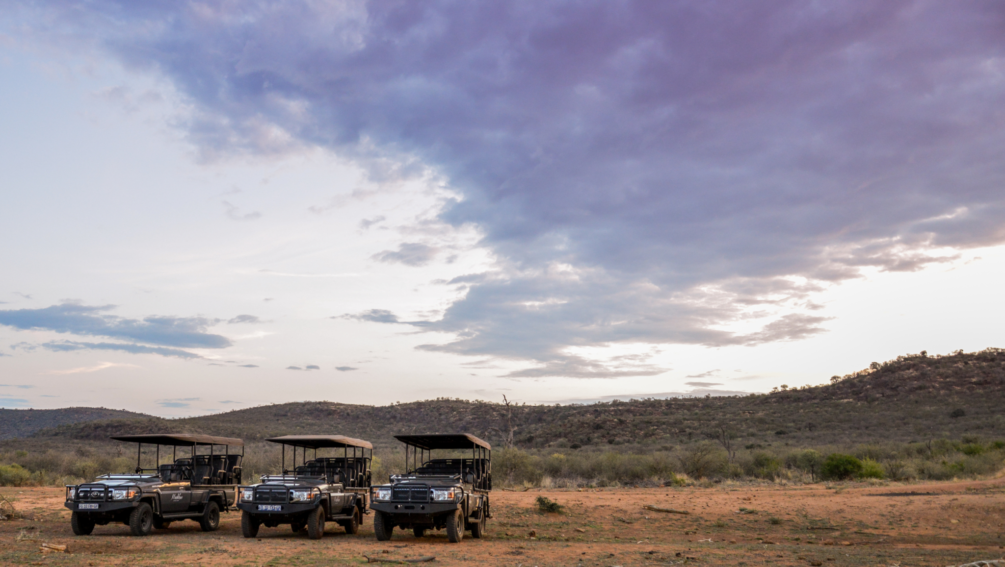 Madikwe Safari Lodge
