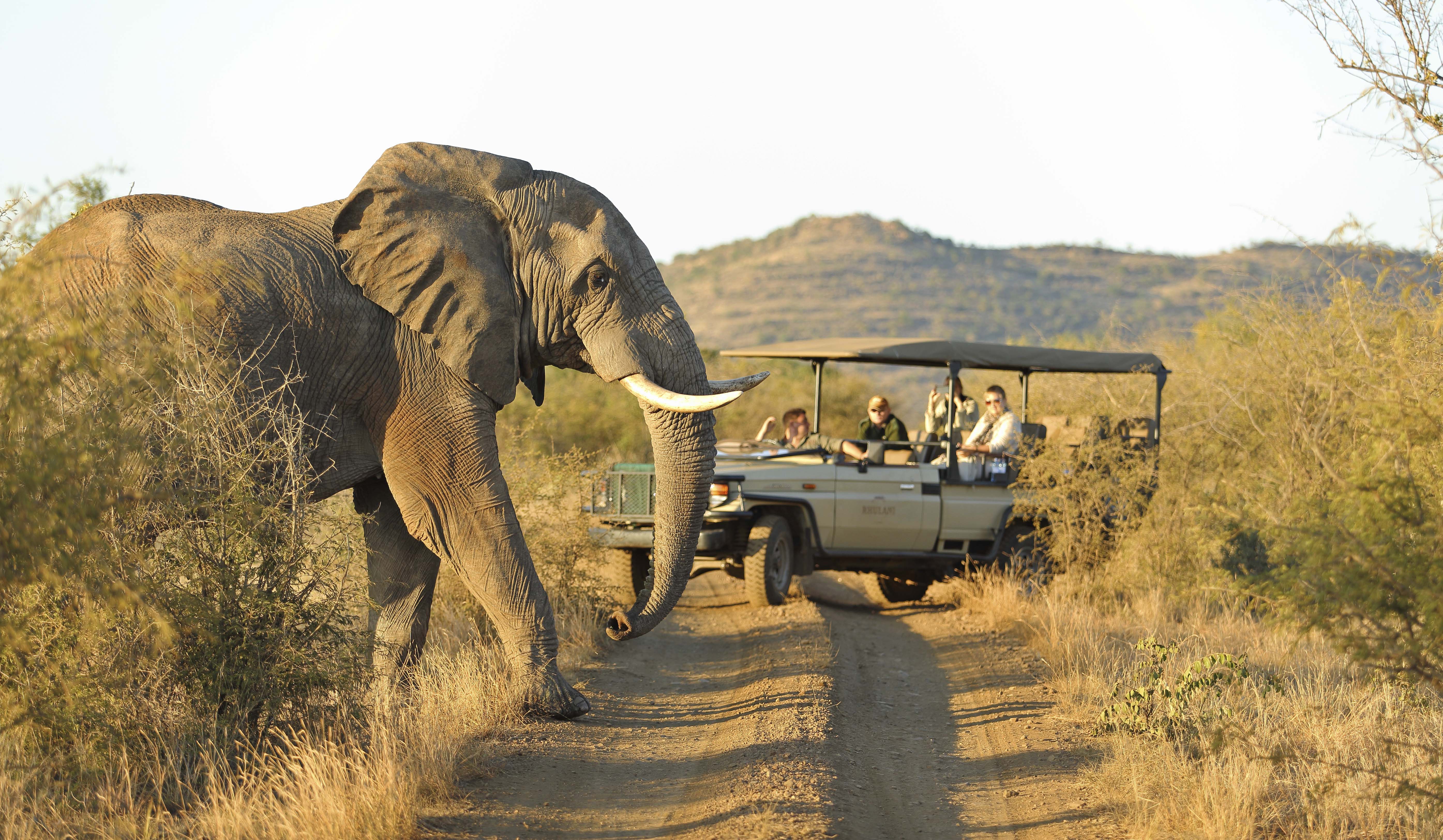 Rhulani Safari Lodge