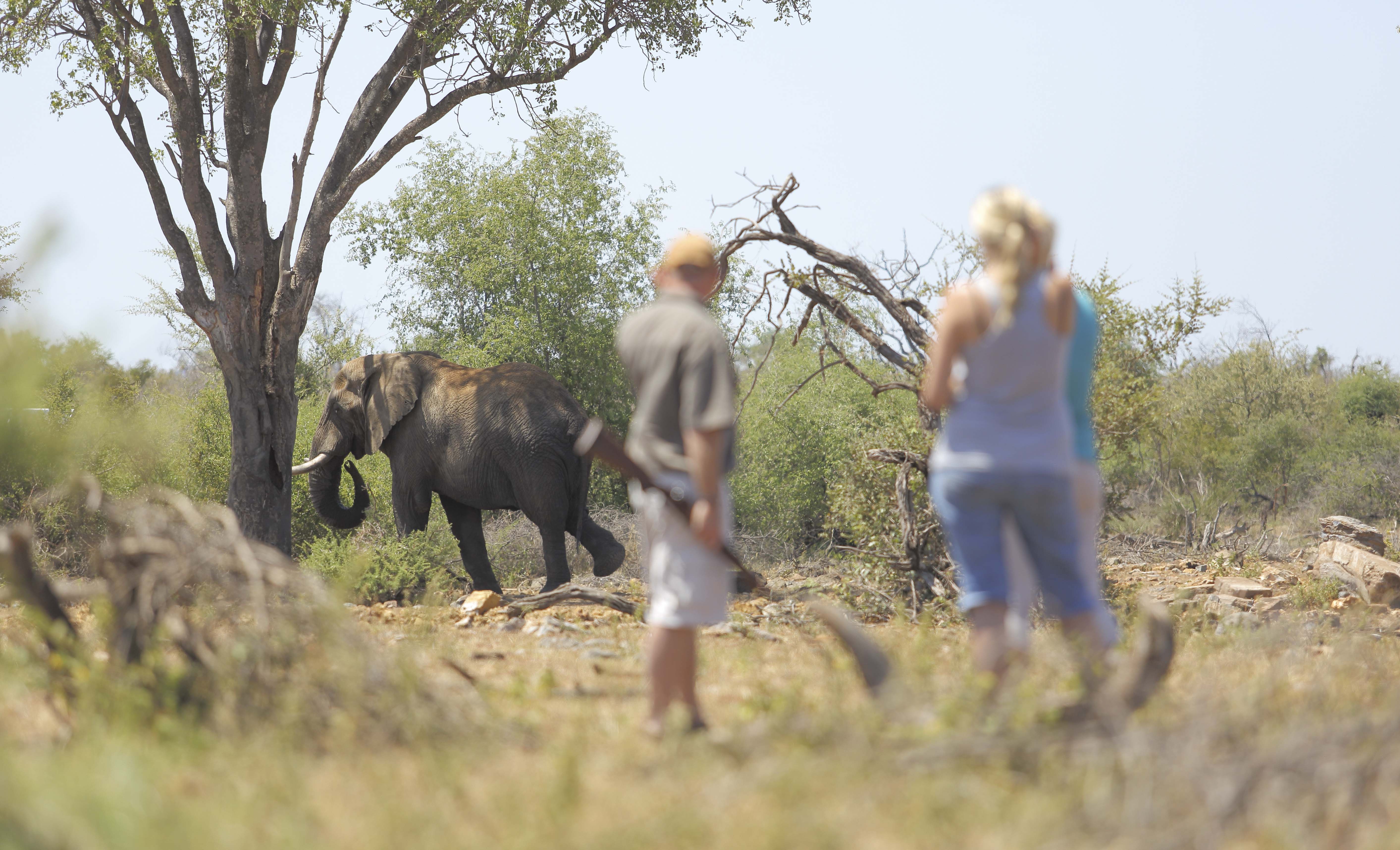 Rhulani Safari Lodge