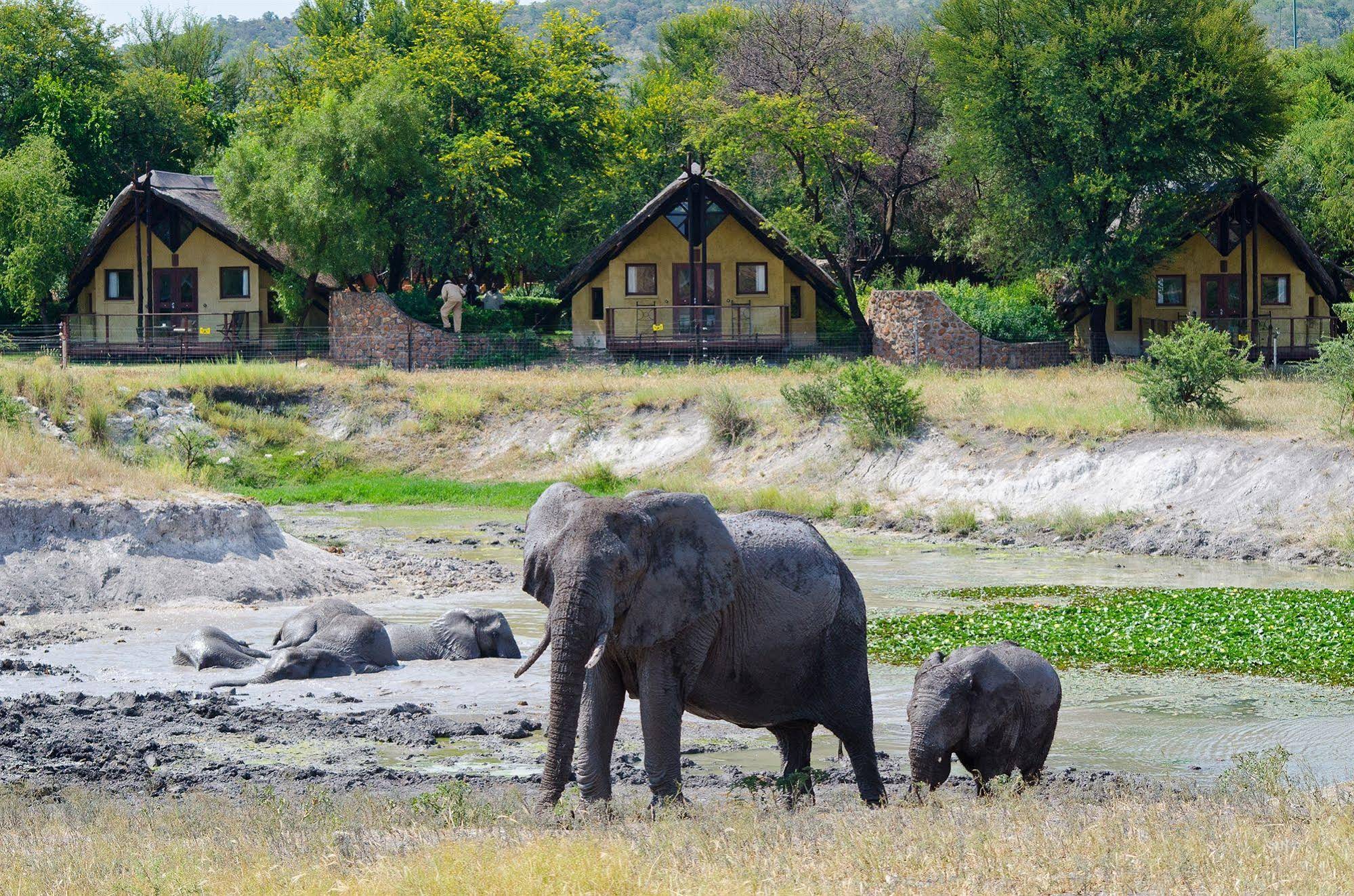 Tau Game Lodge