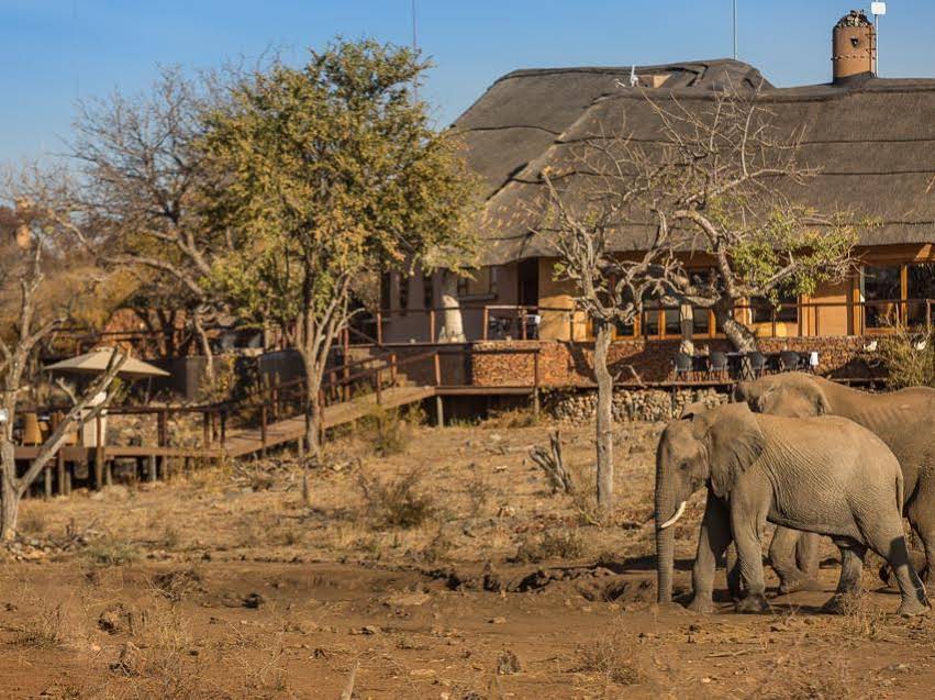The Royal Madikwe Luxury Safari Lodge