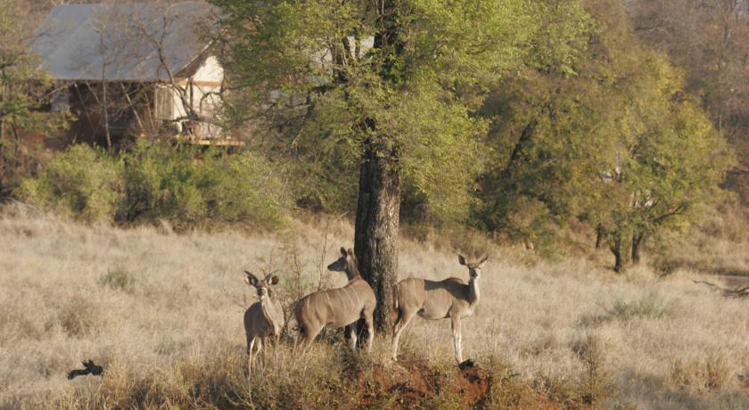 Garonga Safari Camp