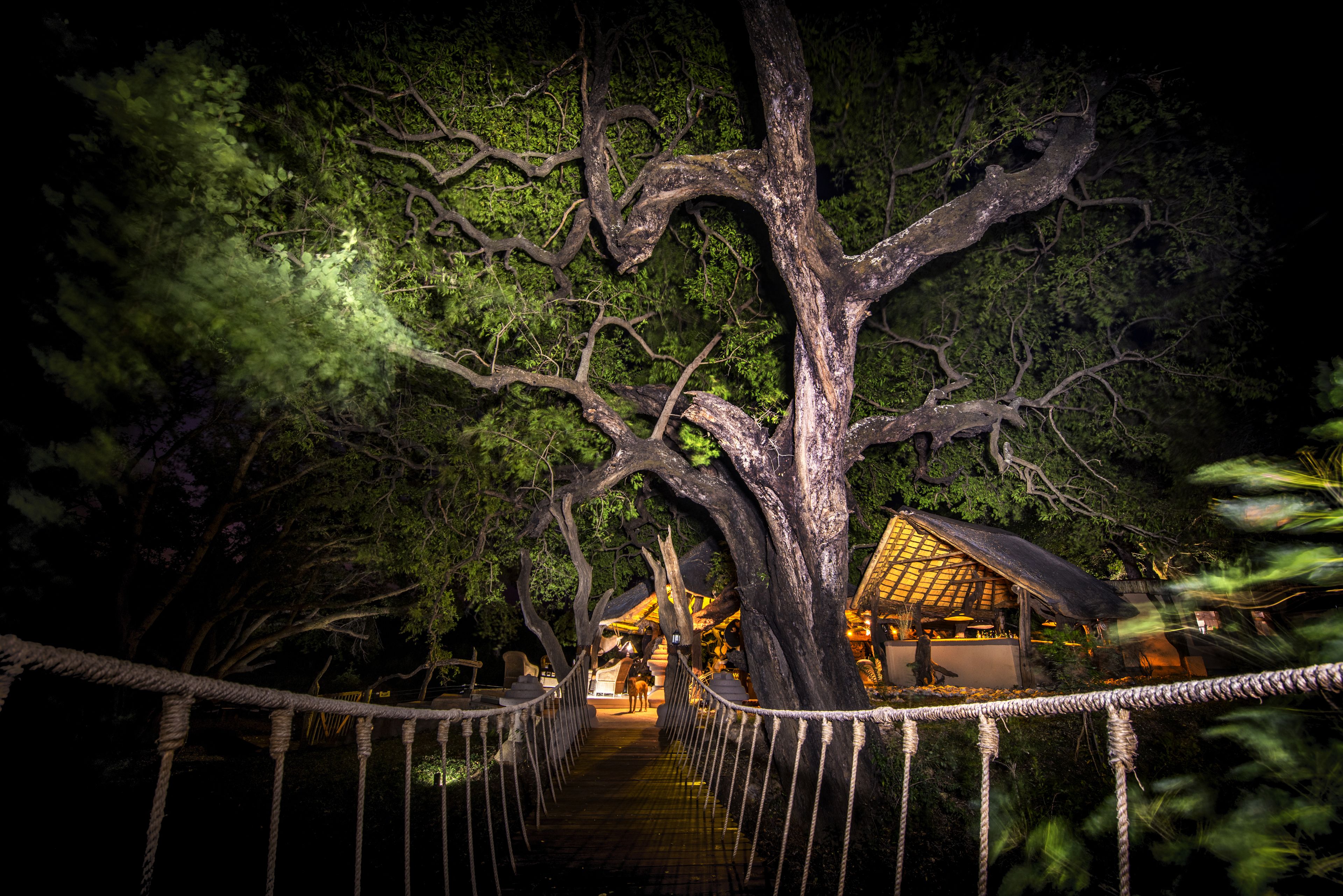 Toro River Lodges Big 5 Safari