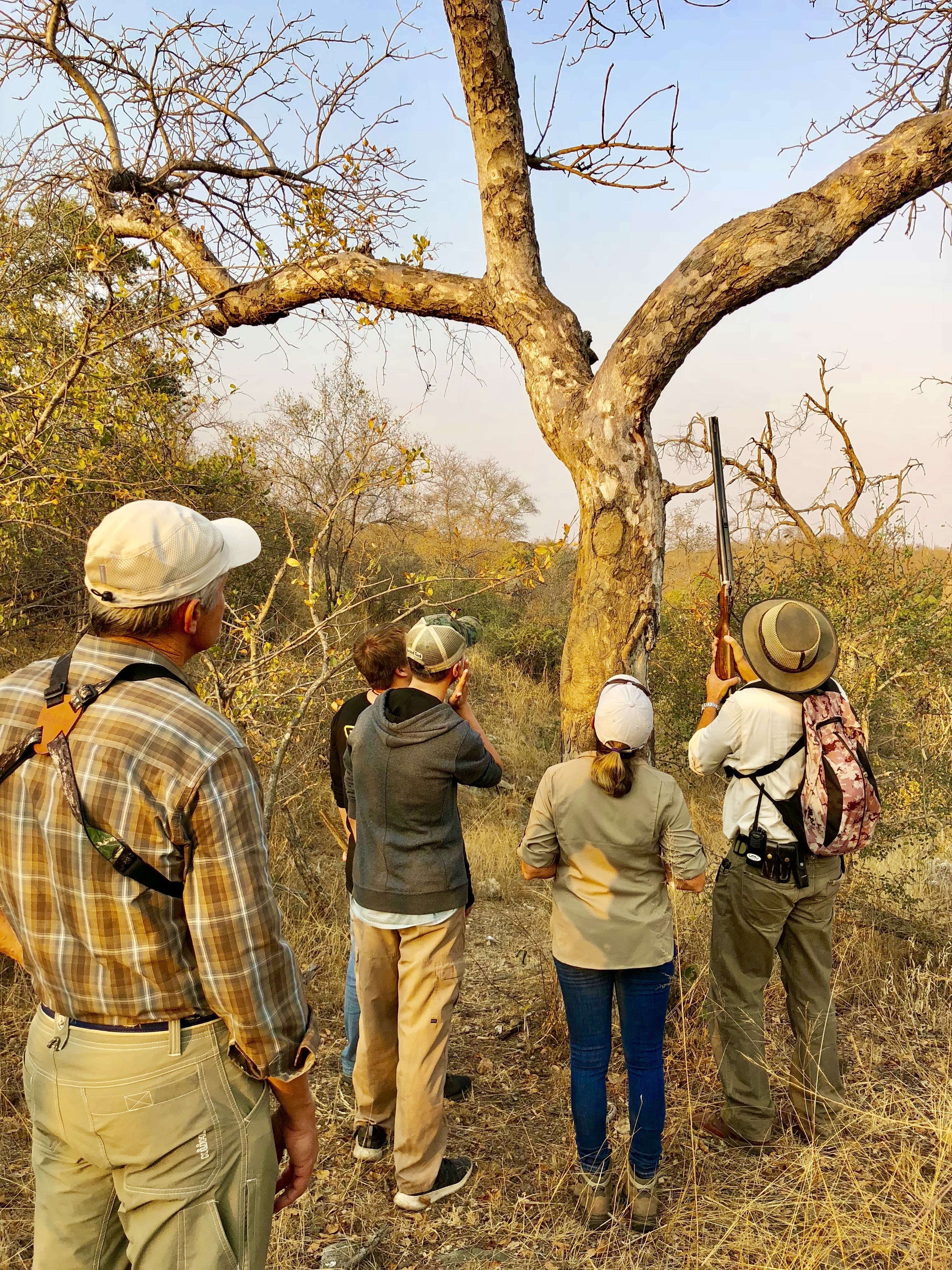Toro River Lodges Big 5 Safari