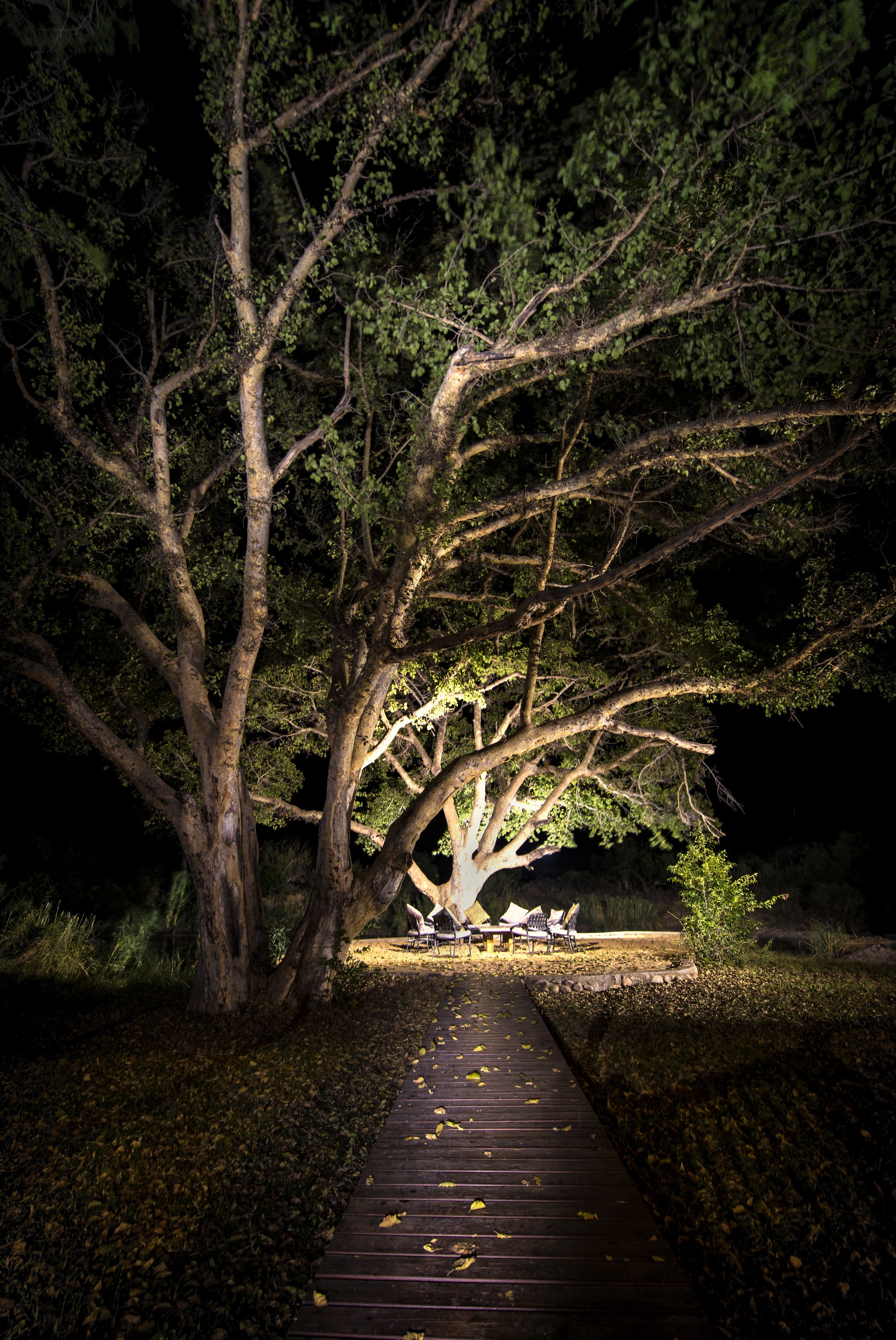 Toro River Lodges Big 5 Safari