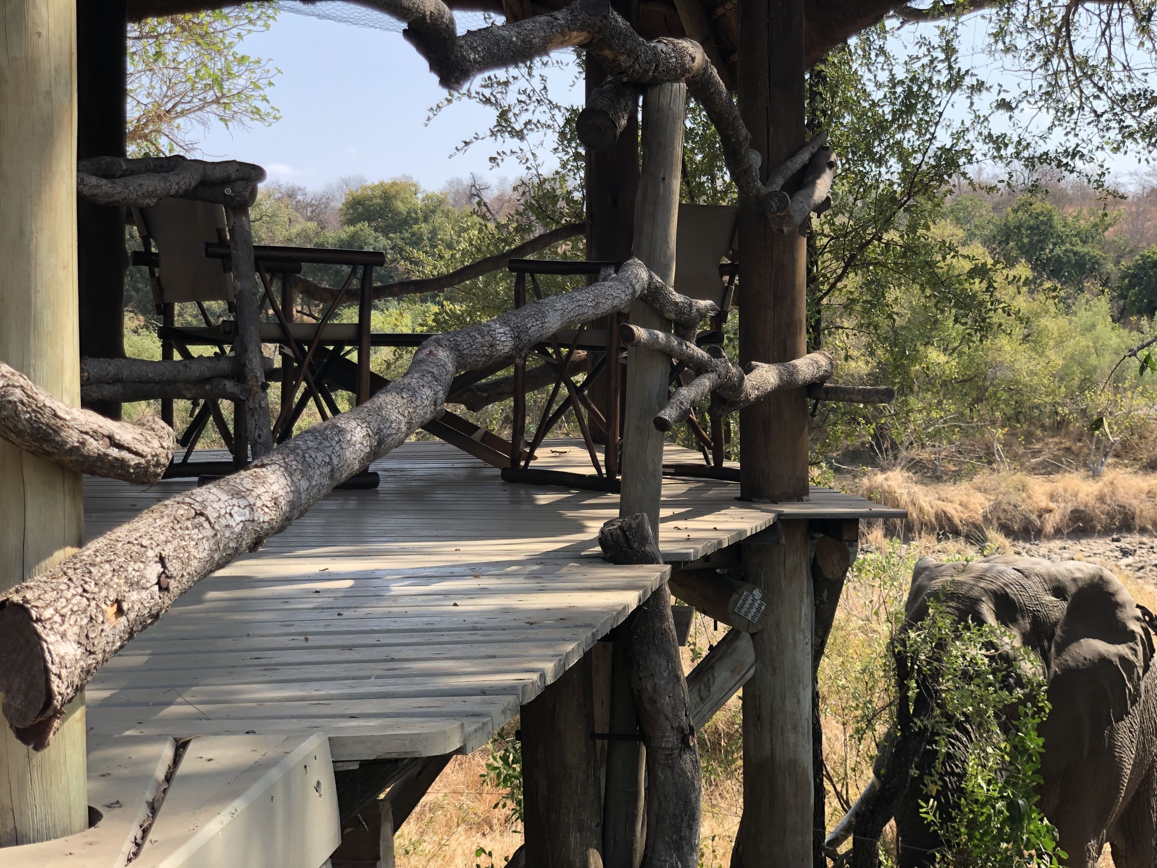 Toro River Lodges Big 5 Safari