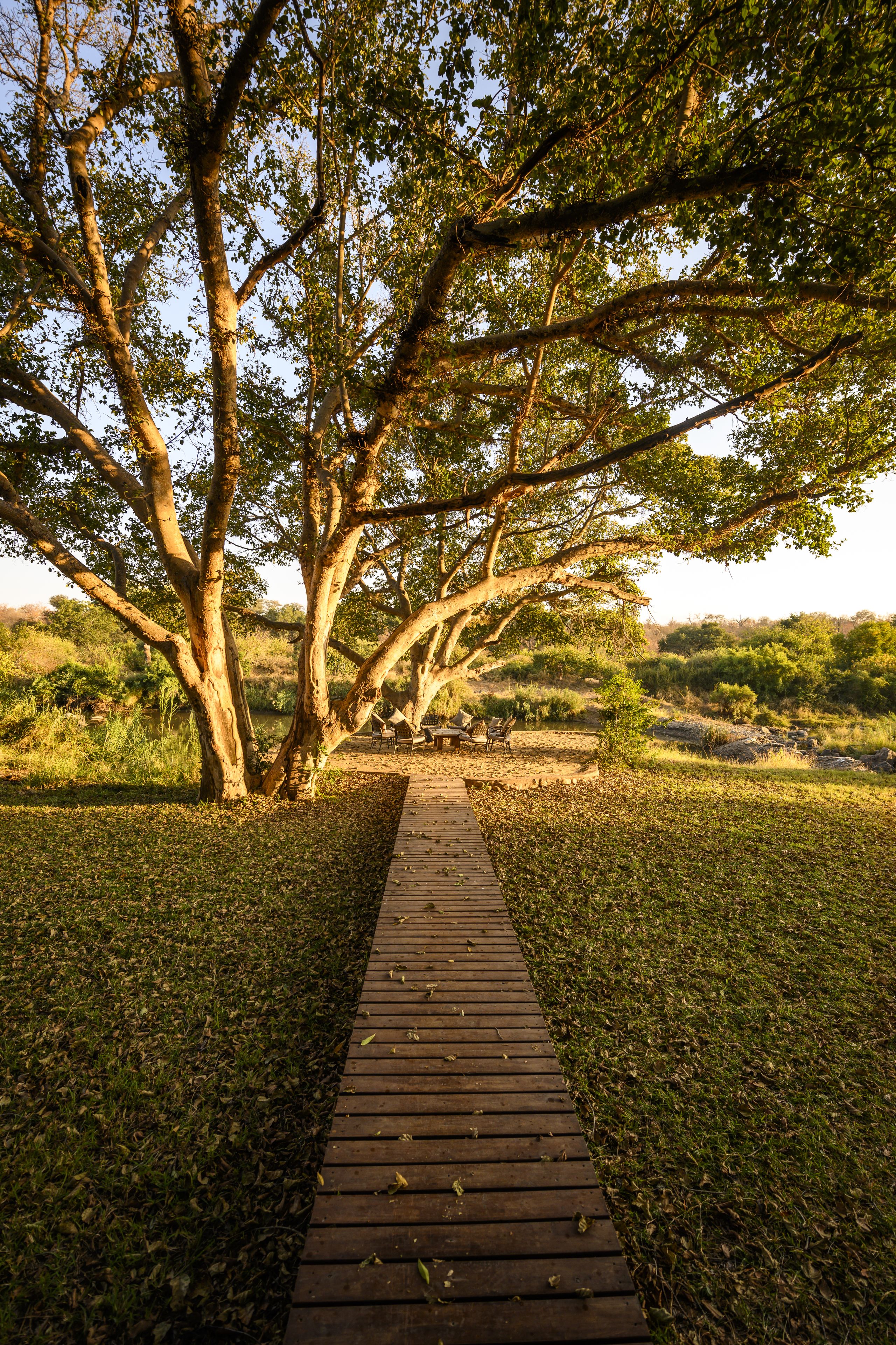 Toro River Lodges Big 5 Safari