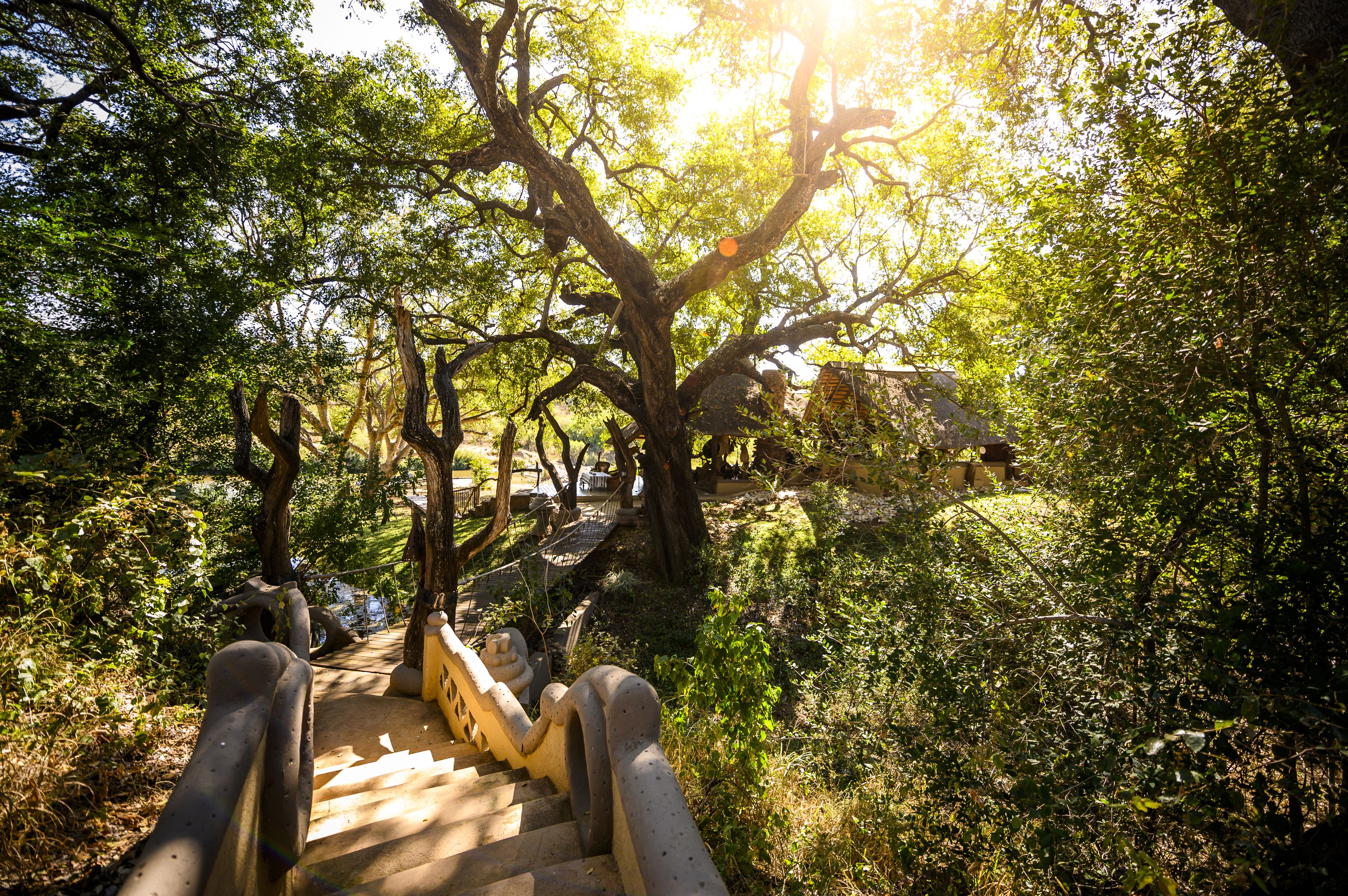 Toro River Lodges Big 5 Safari