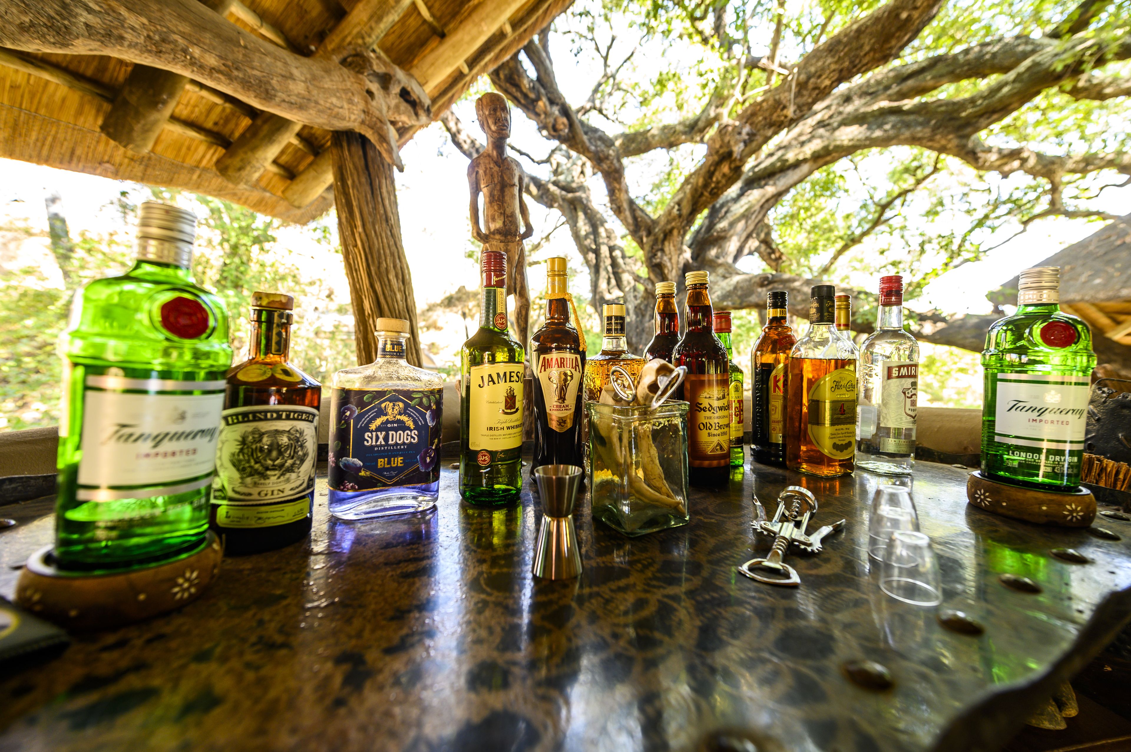 Toro River Lodges Big 5 Safari