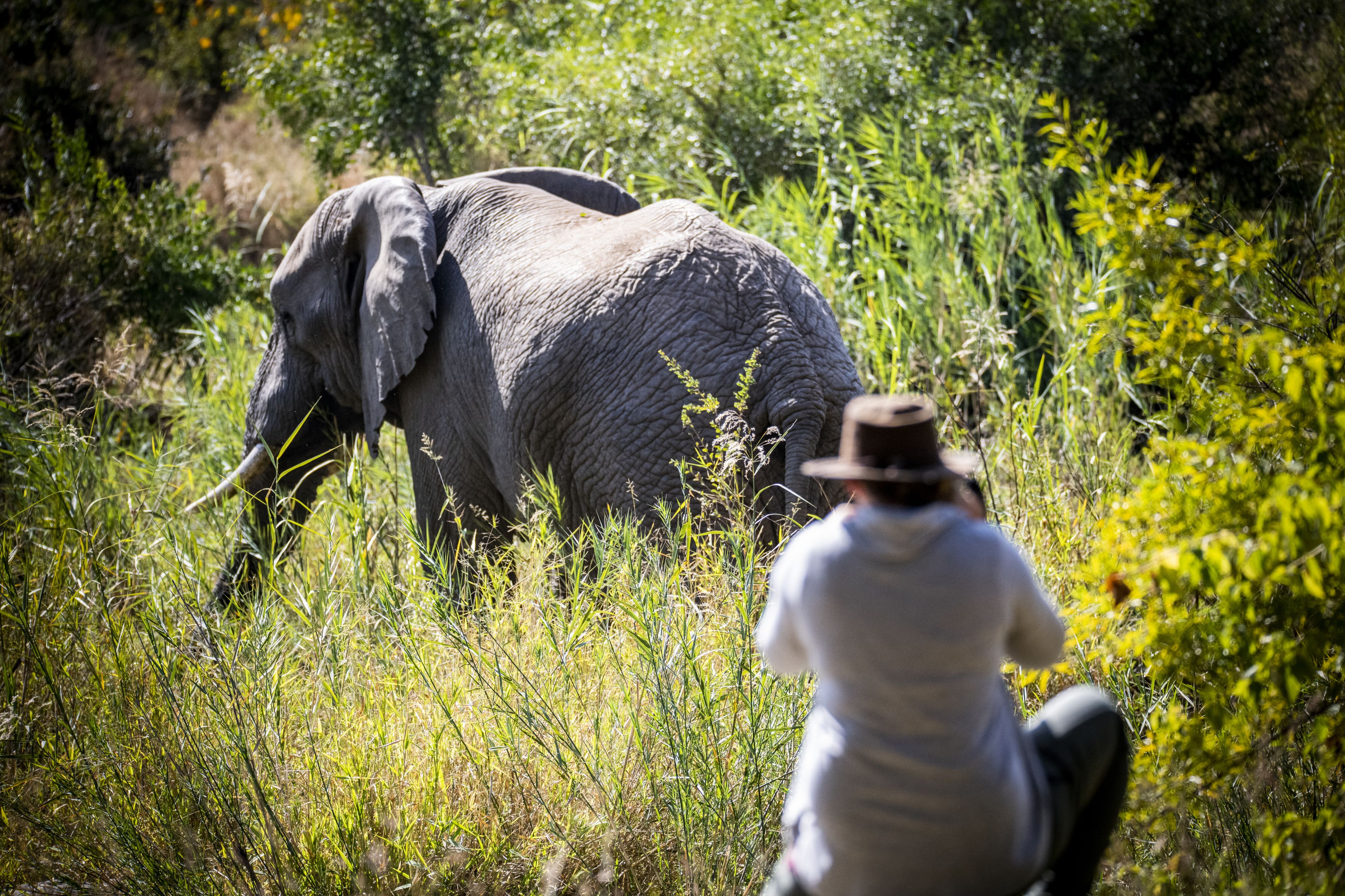 Toro River Lodges Big 5 Safari