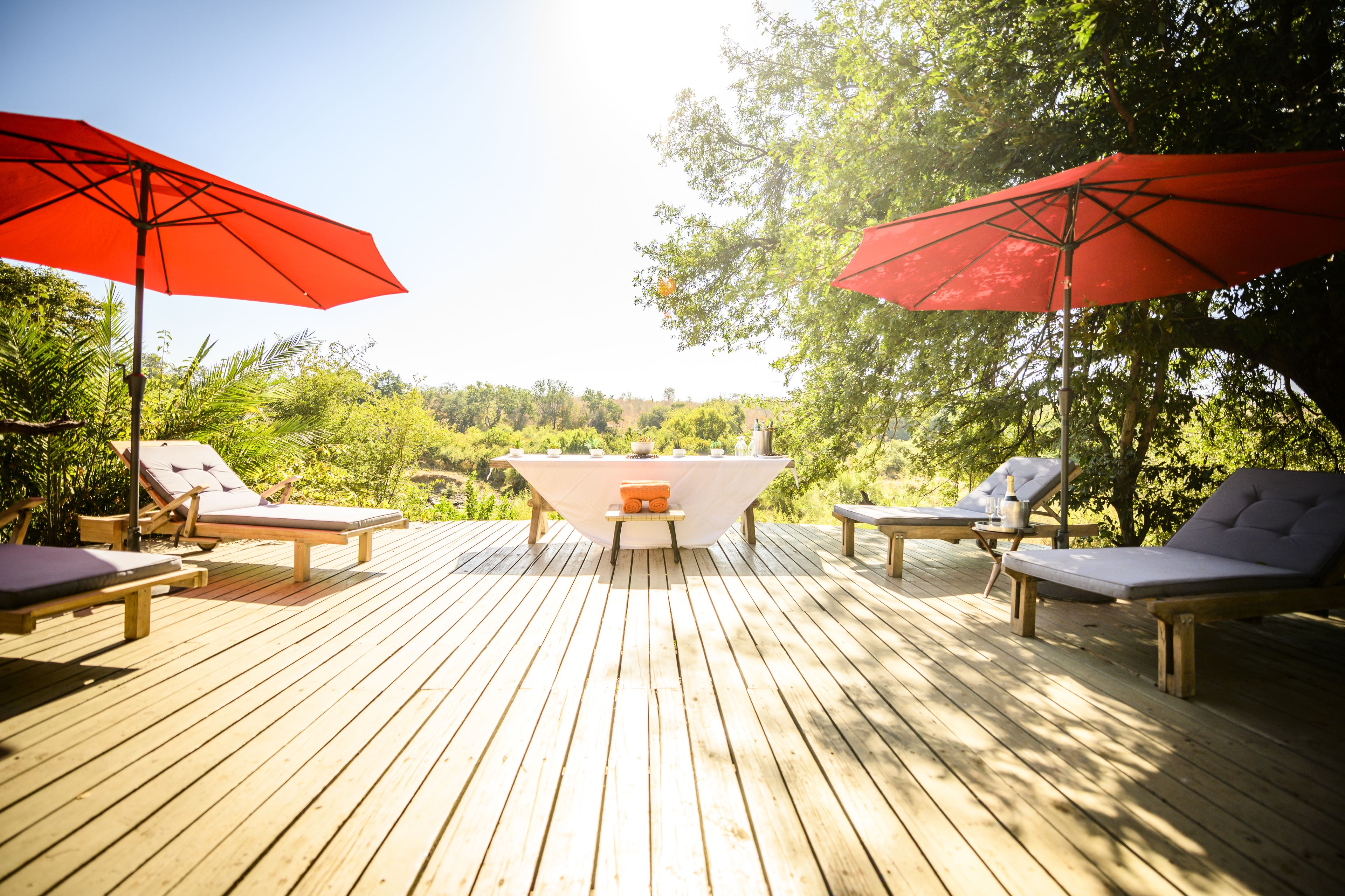 Toro River Lodges Big 5 Safari