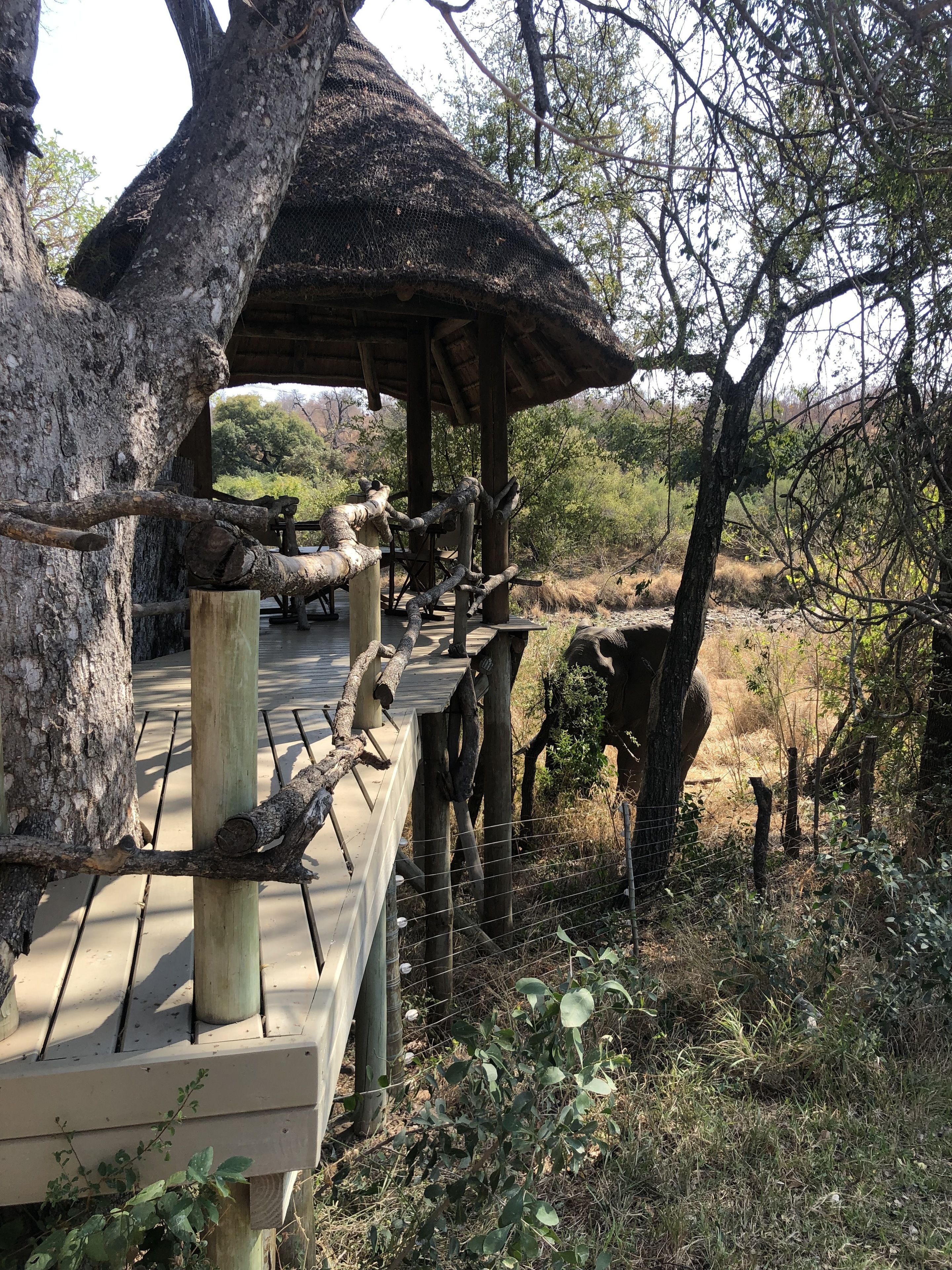 Toro River Lodges Big 5 Safari