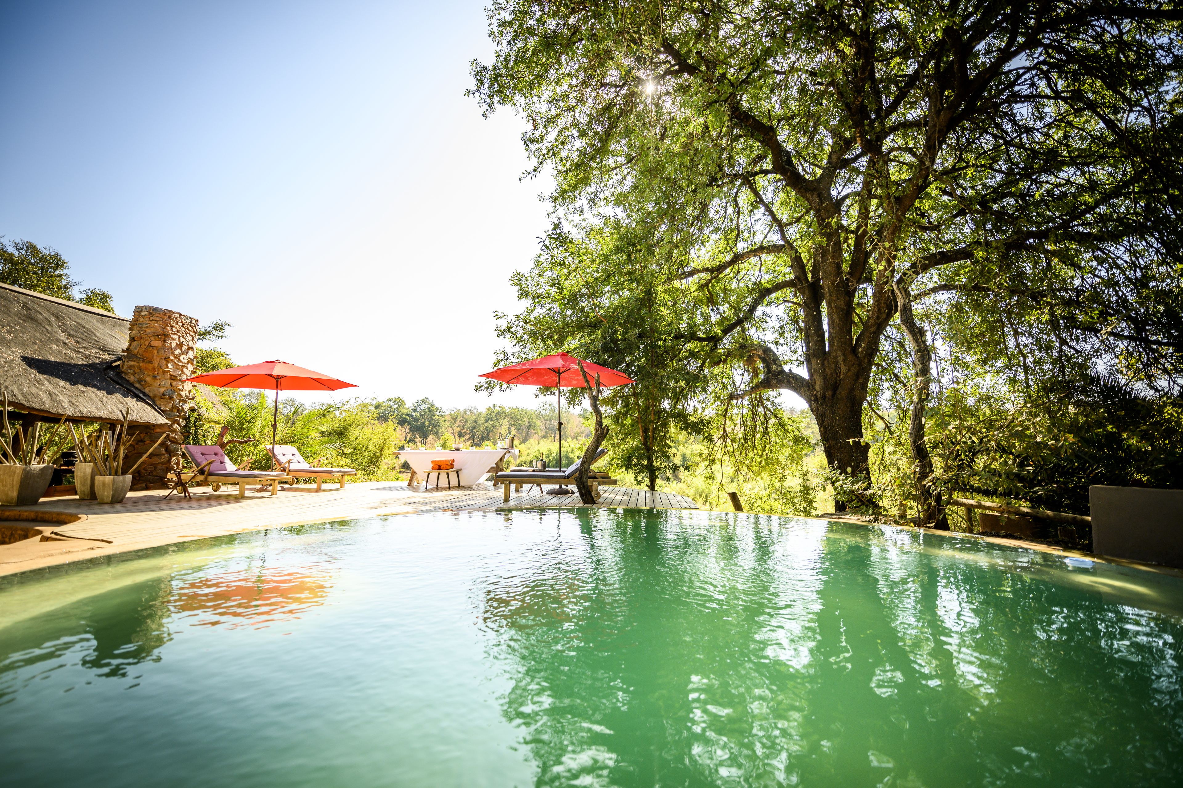 Toro River Lodges Big 5 Safari