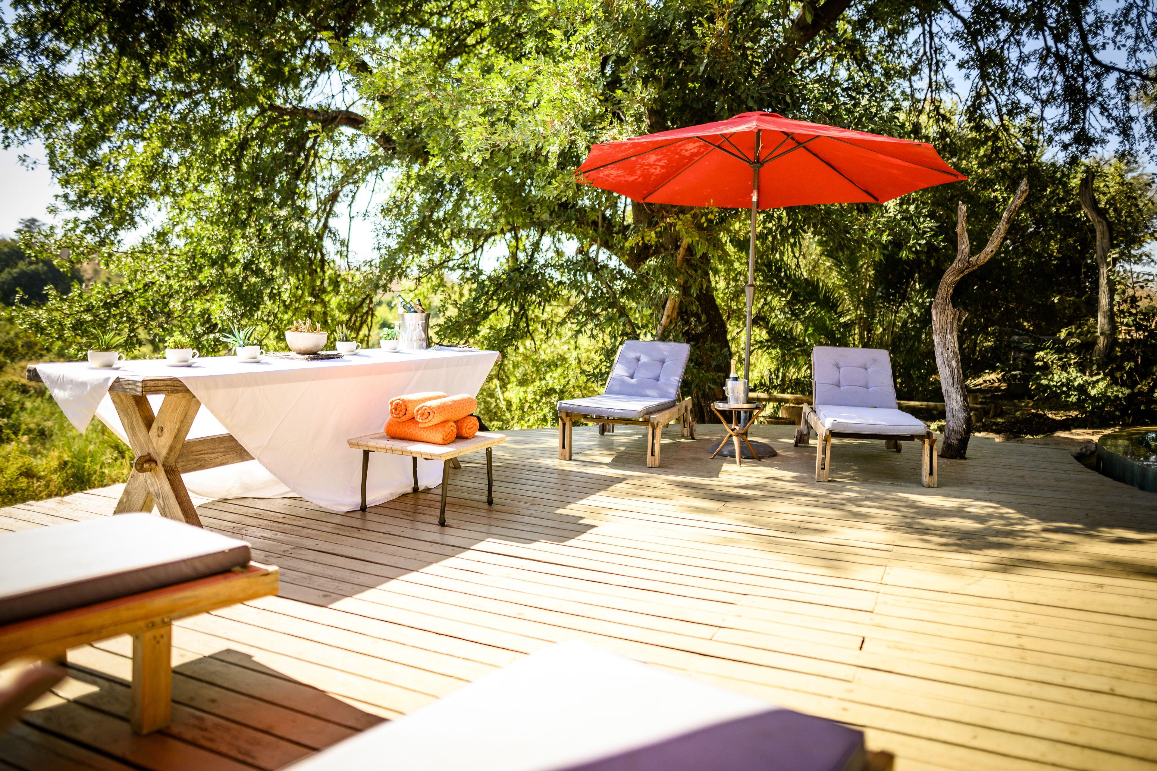 Toro River Lodges Big 5 Safari
