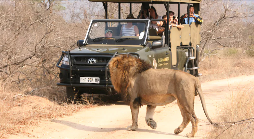 Shalati Safari Camp