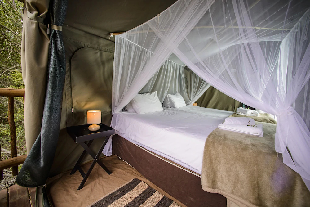 Shalati Safari Camp