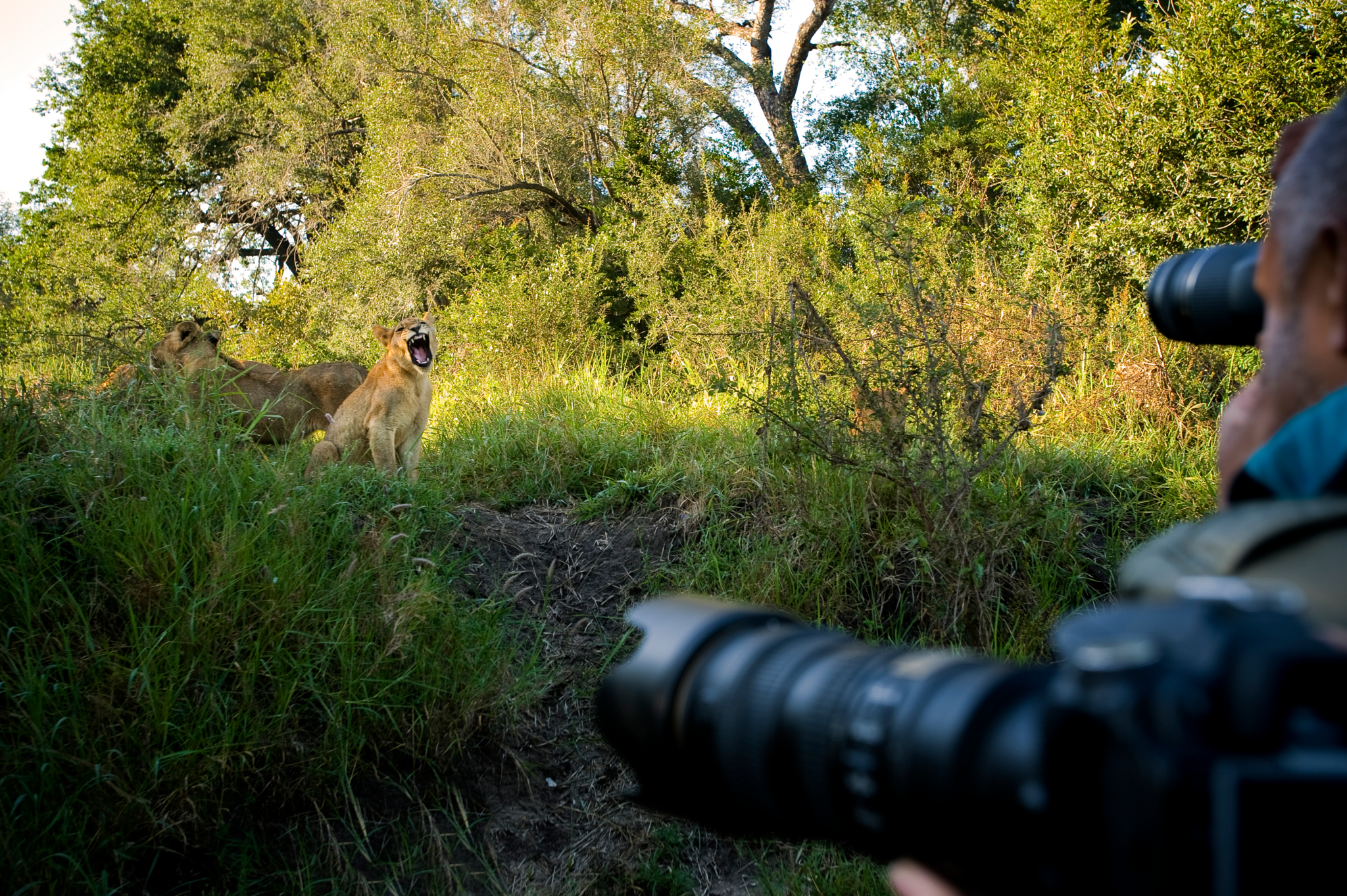Lion Sands River Lodge