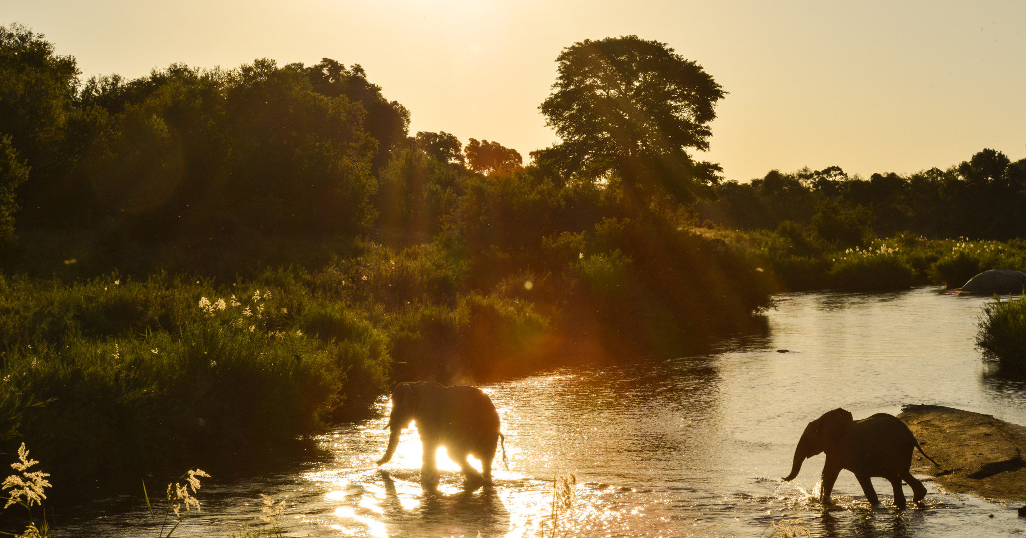 Lion Sands River Lodge