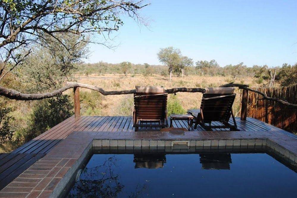 Thornybush Simbambilli Game Lodge