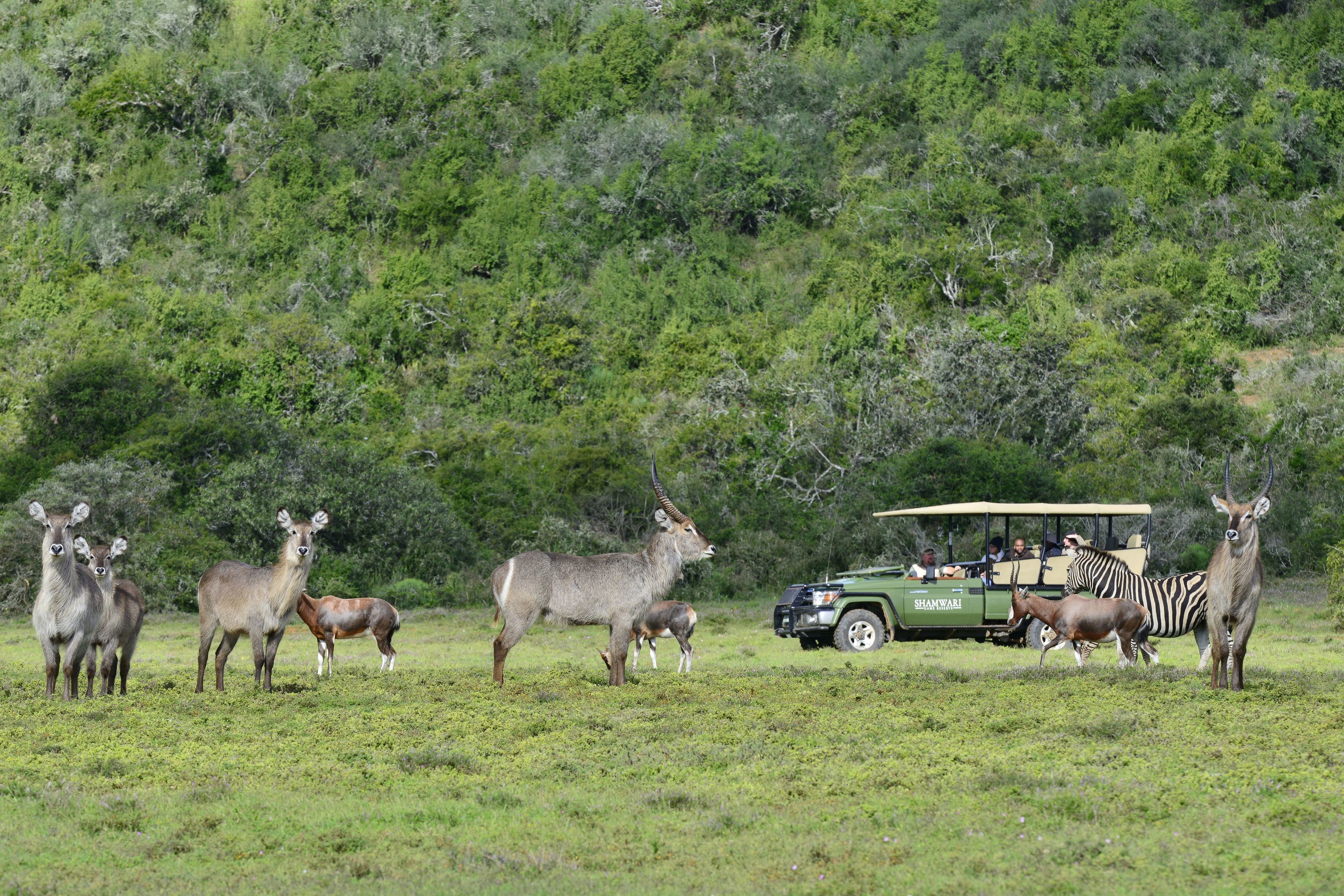Bayethe Lodge