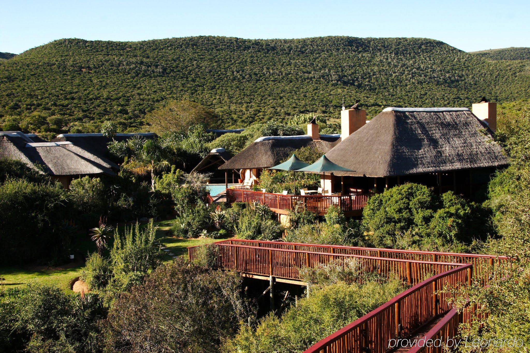 Shamwari Private Game Reserve