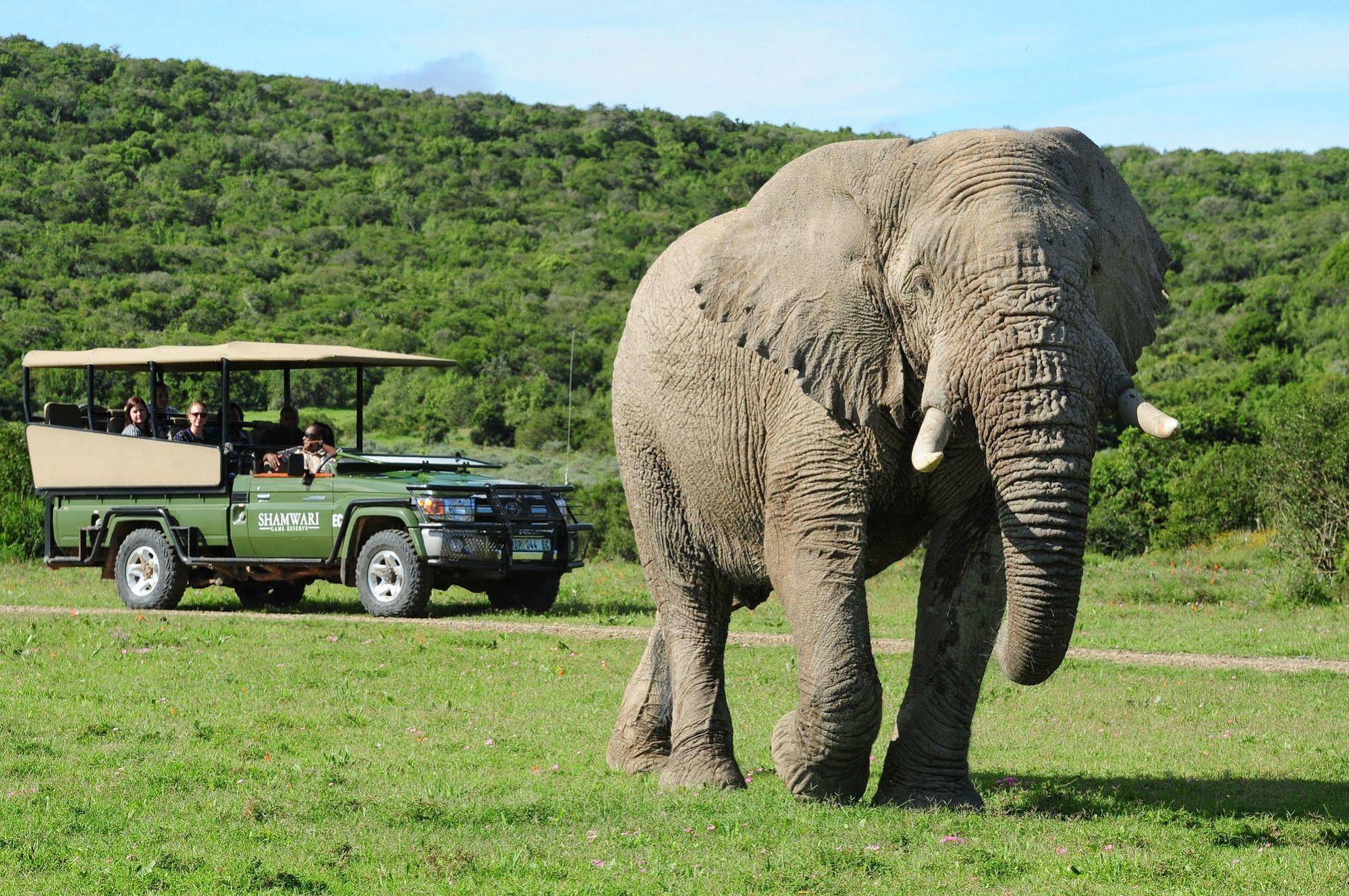 Shamwari Private Game Reserve