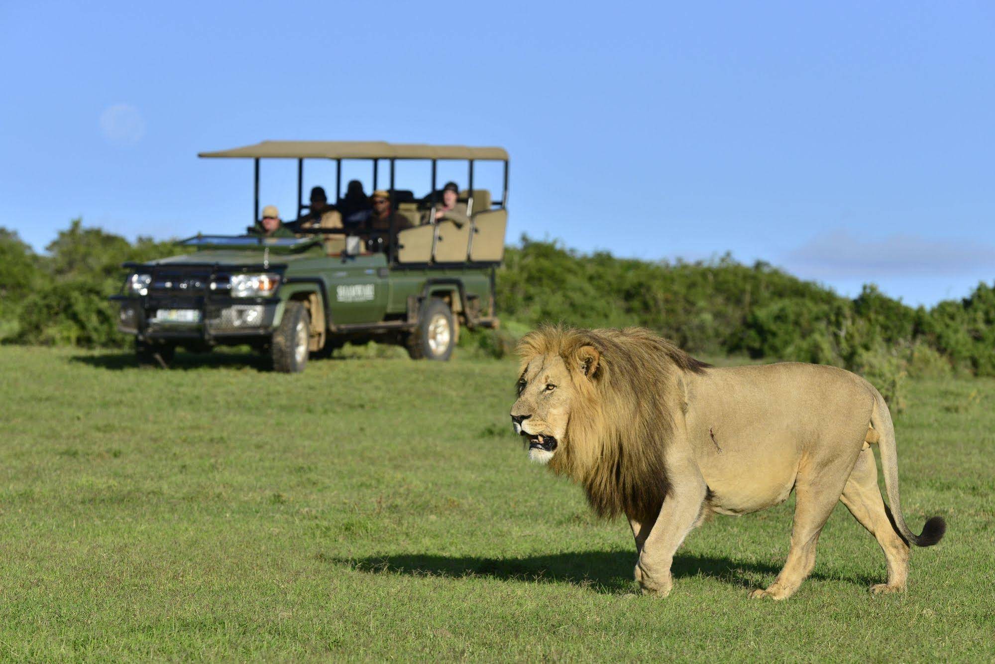 Shamwari Private Game Reserve