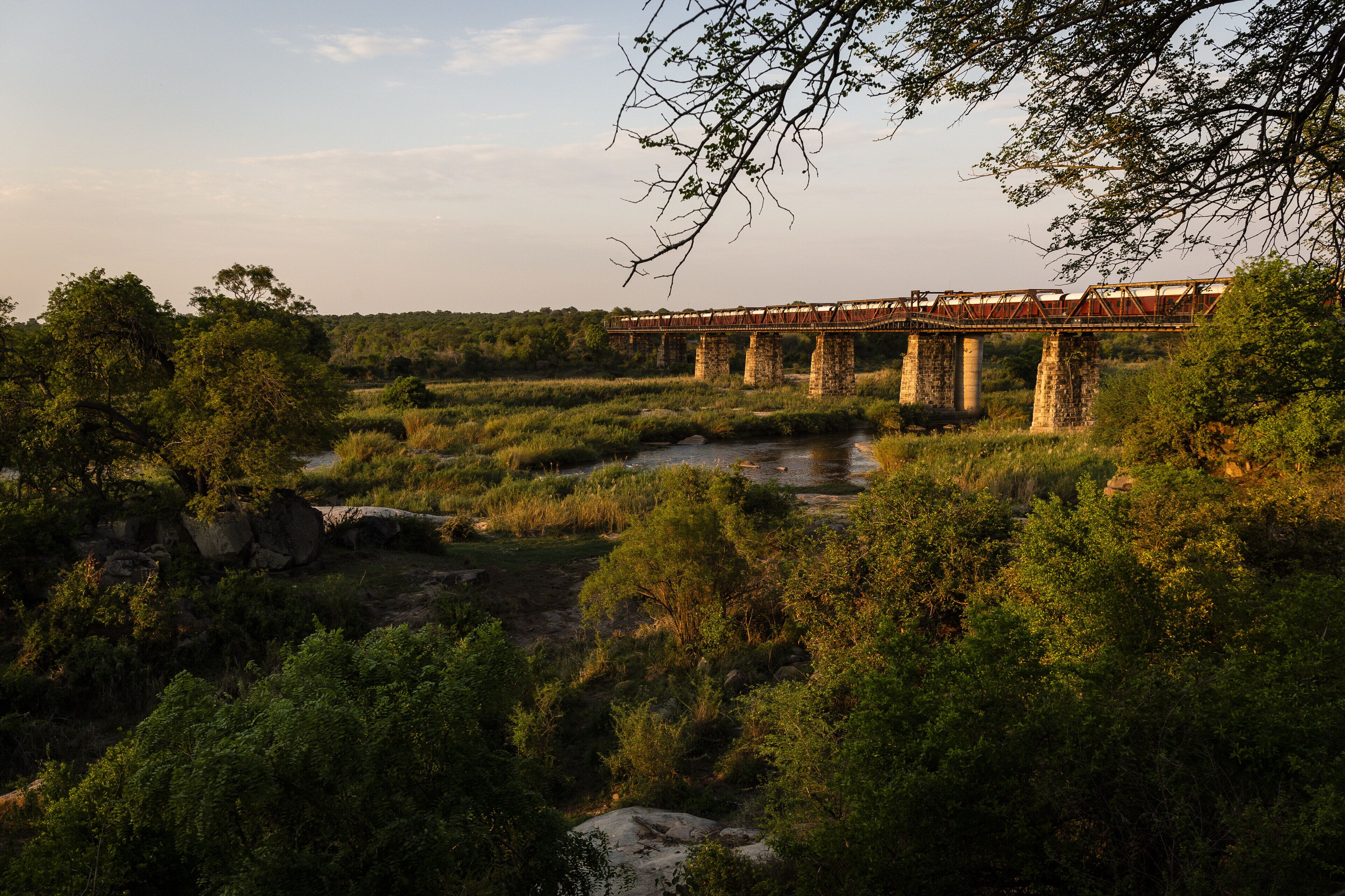 Kruger Shalati - Train on The Bridge & Garden Suites
