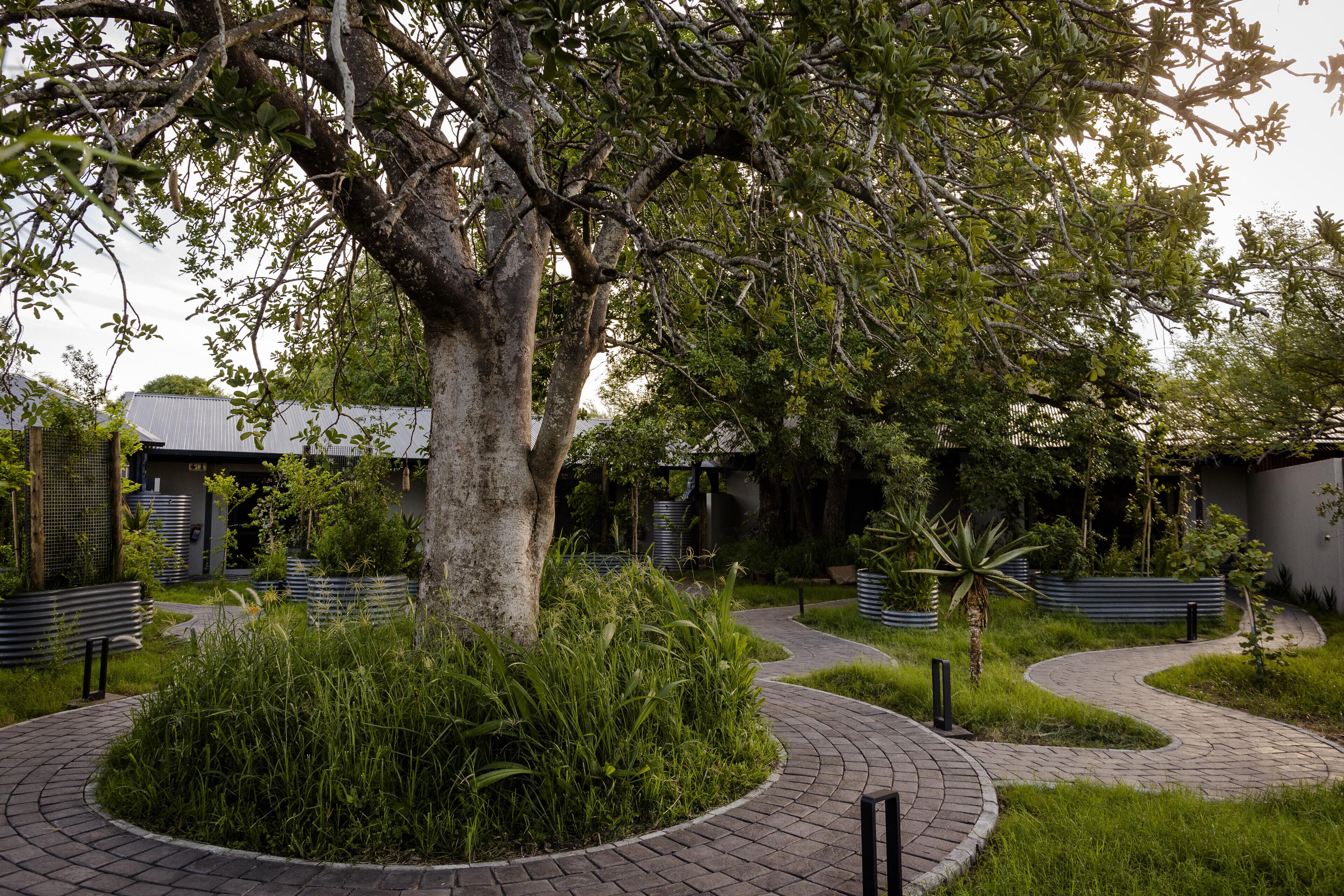 Kruger Shalati - Train on The Bridge & Garden Suites