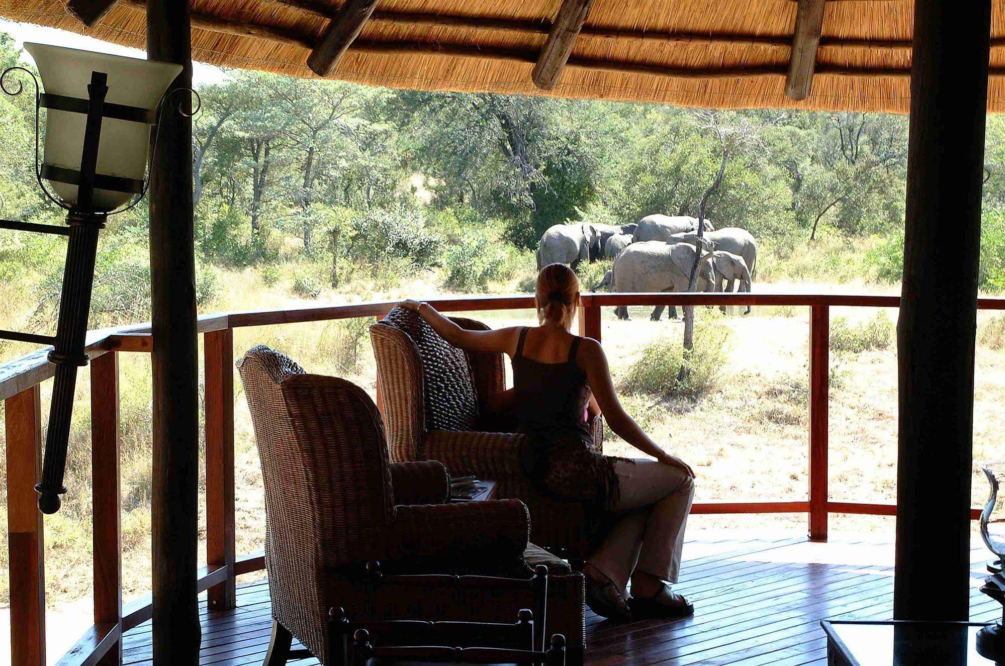 Thornybush Shumbalala Game Lodge