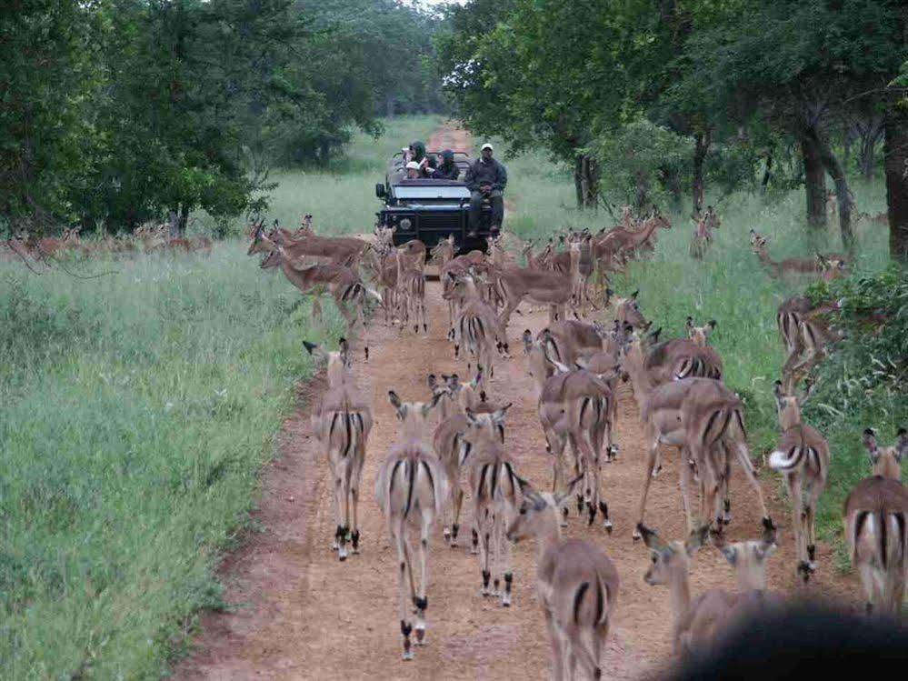 Thornybush Shumbalala Game Lodge