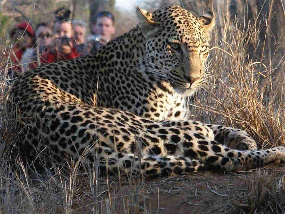 Thornybush Shumbalala Game Lodge