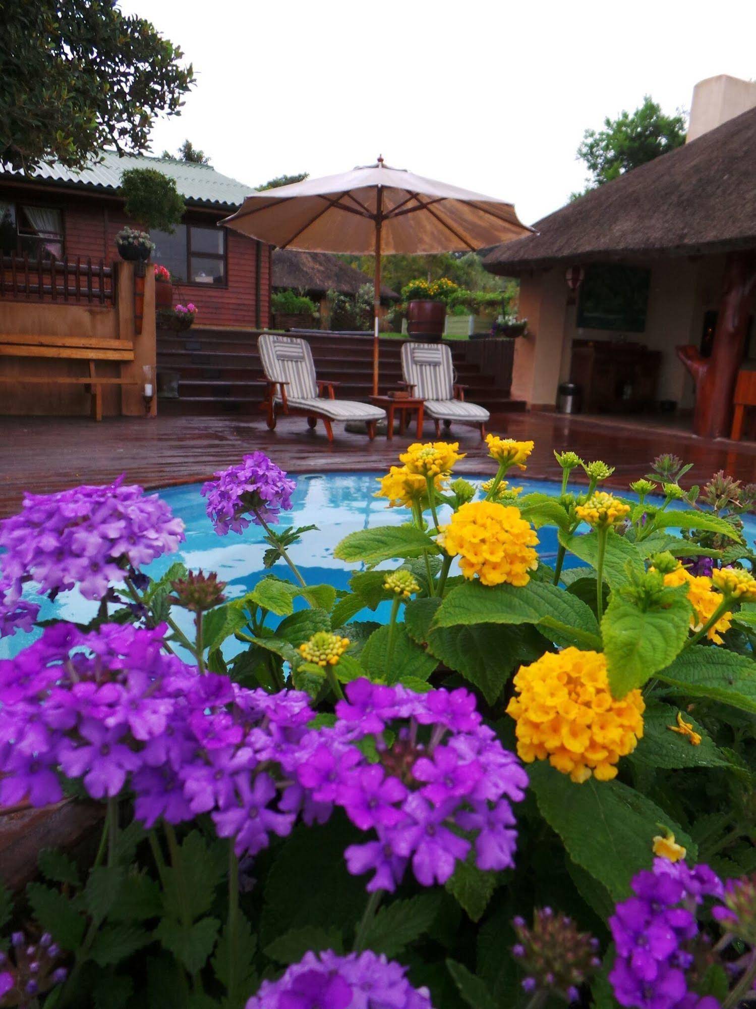 Belle Foret Bed And Breakfast