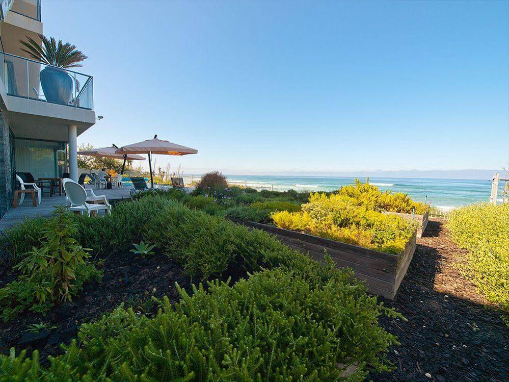The Ocean View