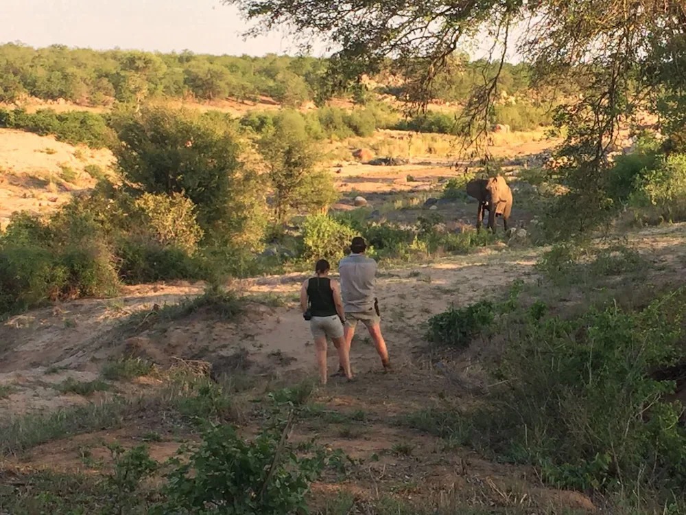 Mthimkhulu Private Game Reserve