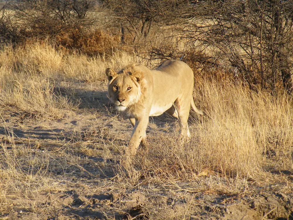 Mthimkhulu Private Game Reserve