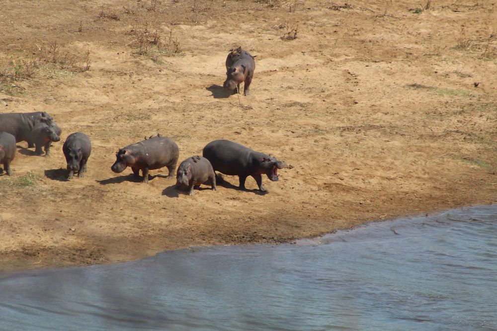 Mthimkhulu Private Game Reserve