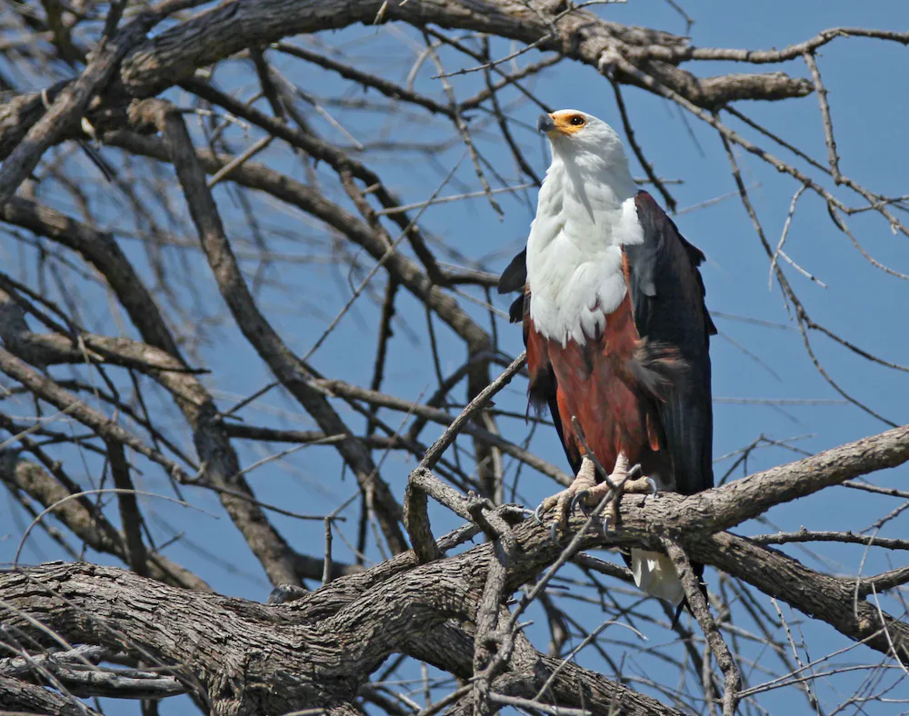 Mthimkhulu Private Game Reserve
