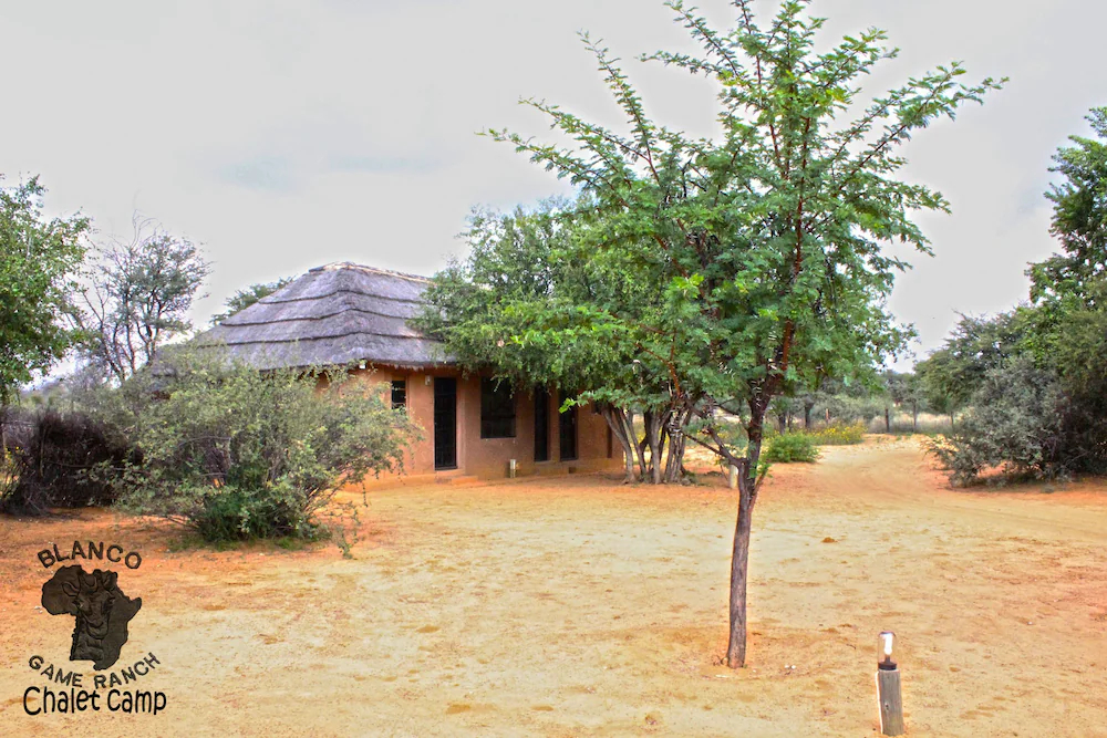 Blanco Hunting Safaris Game Ranch