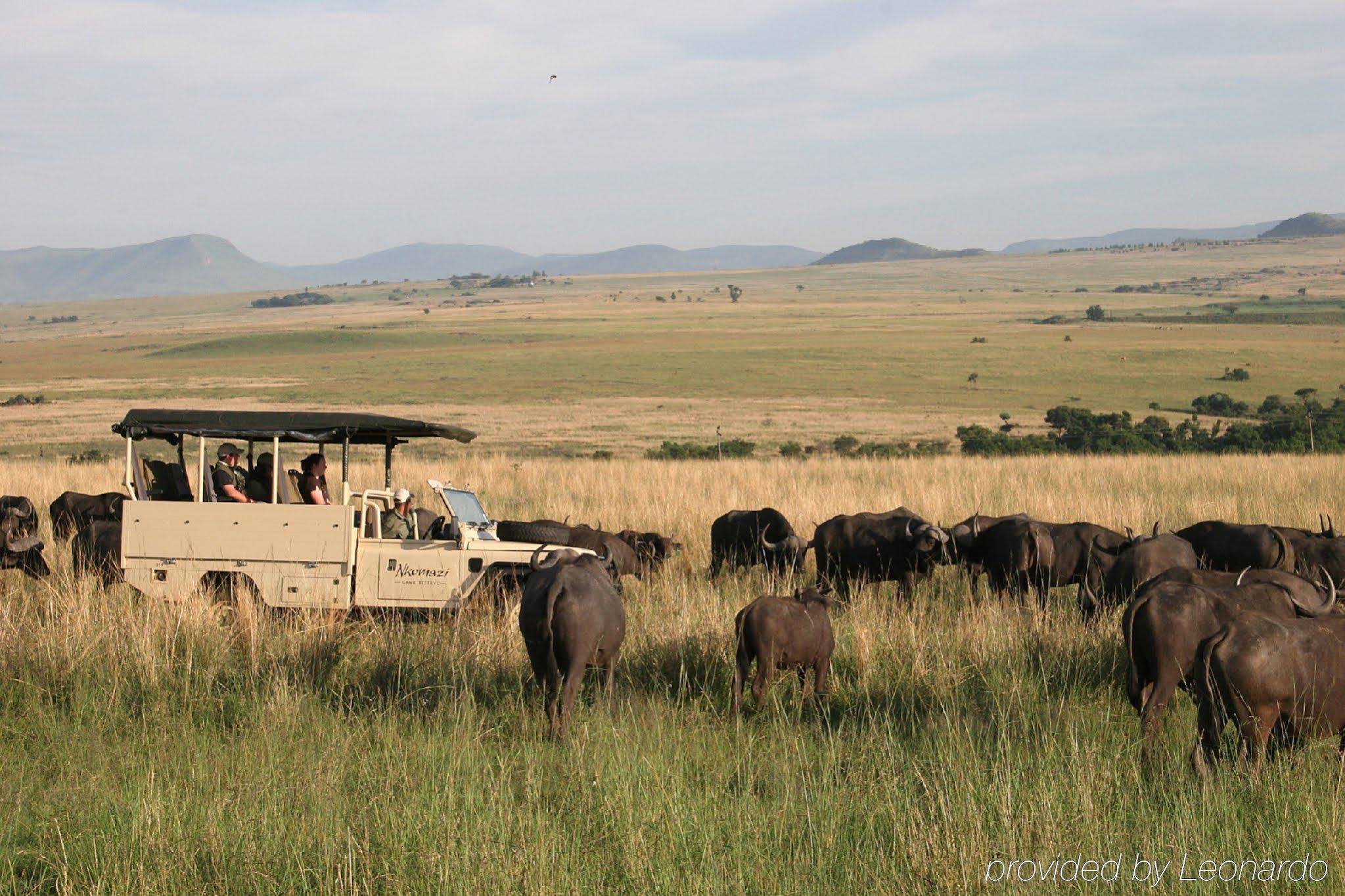 Nkomazi Private Game Reserve