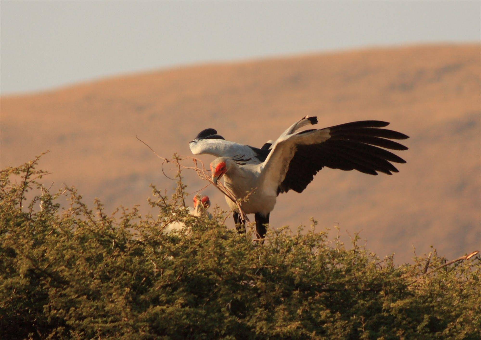 Nkomazi Private Game Reserve