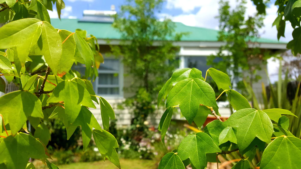 Habitat Chalet