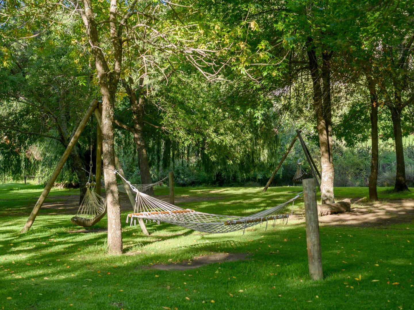 Kiara Lodge