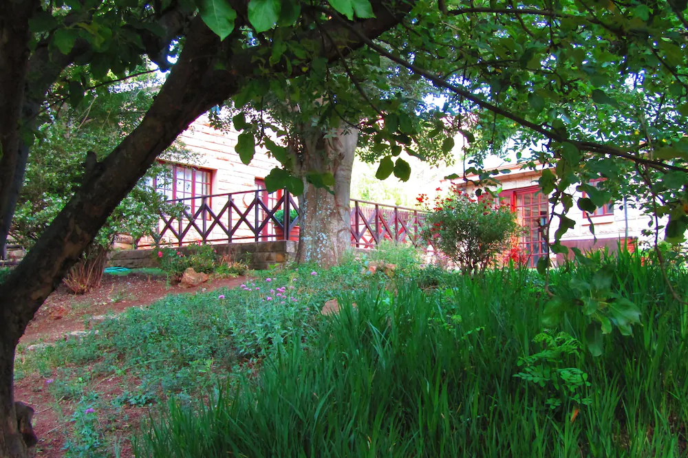 Woodlands Escape