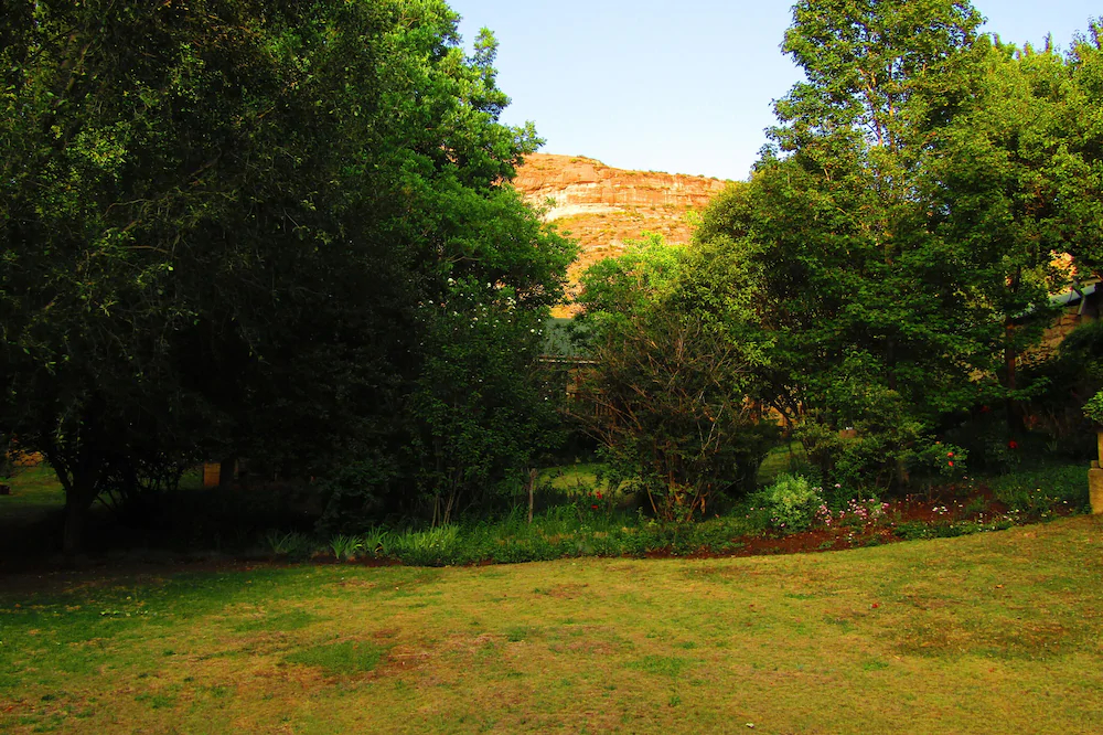 Woodlands Escape