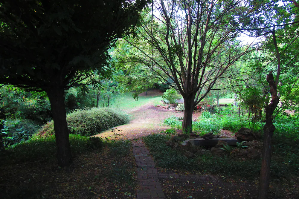Woodlands Escape