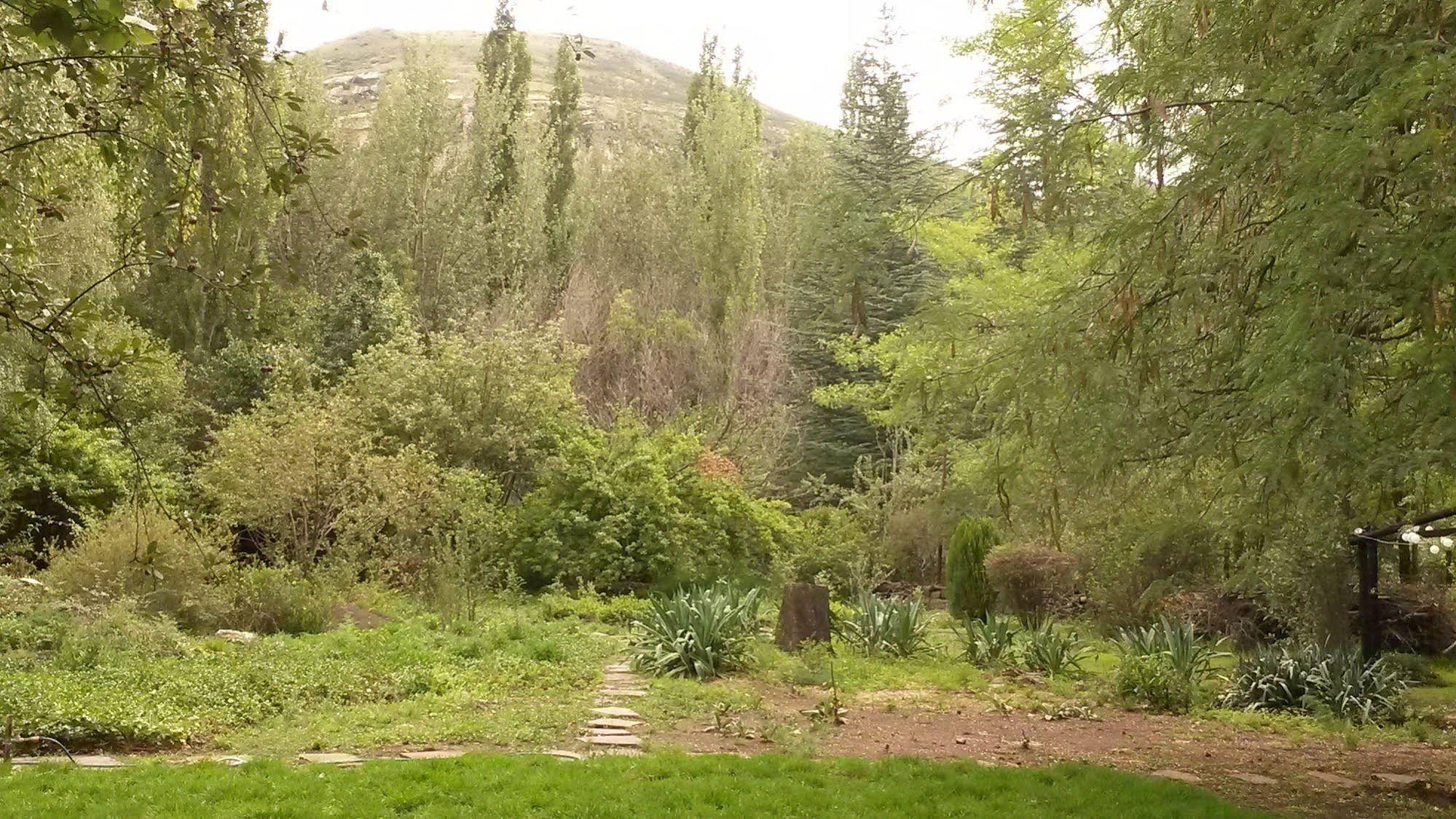 Woodlands Retreat